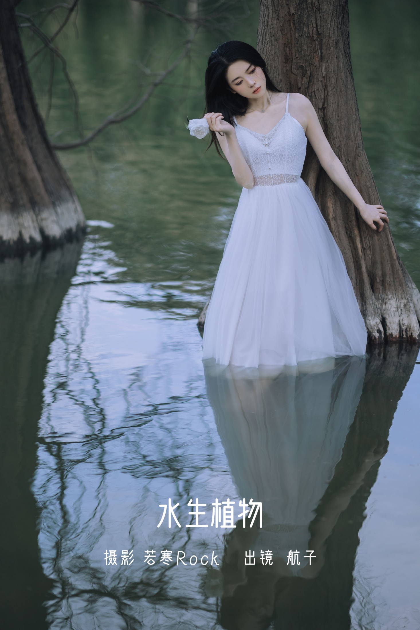 航子就是航子呀 – 《水生植物》[24P]