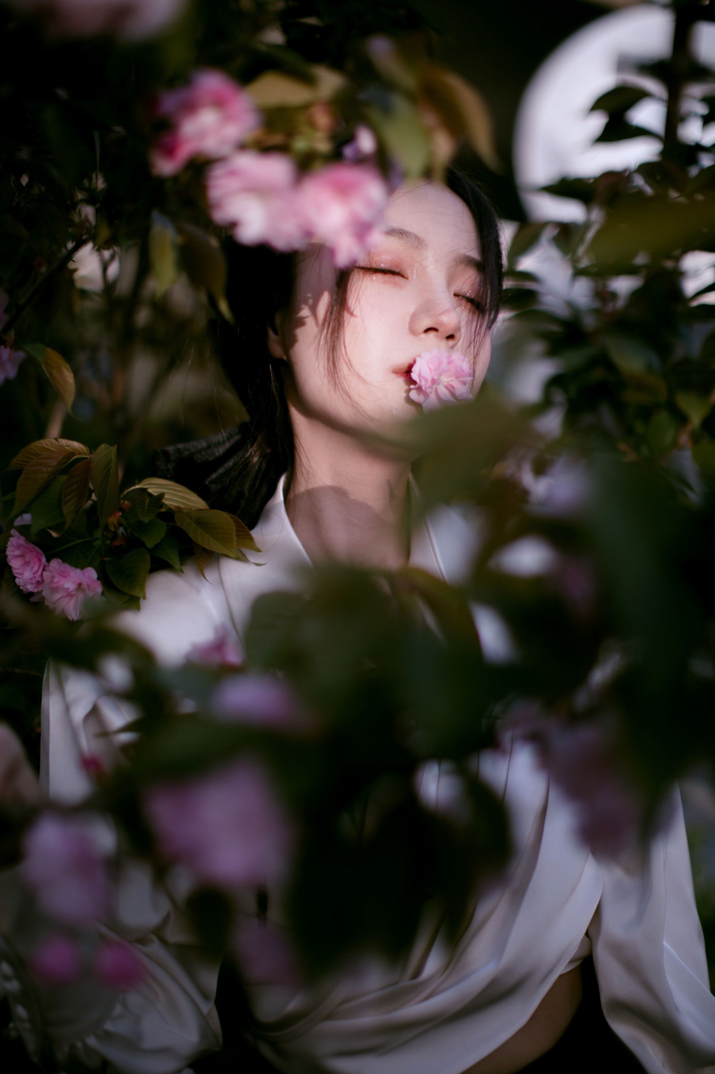 夏芸是只小考拉 – 《花宴》[22P]