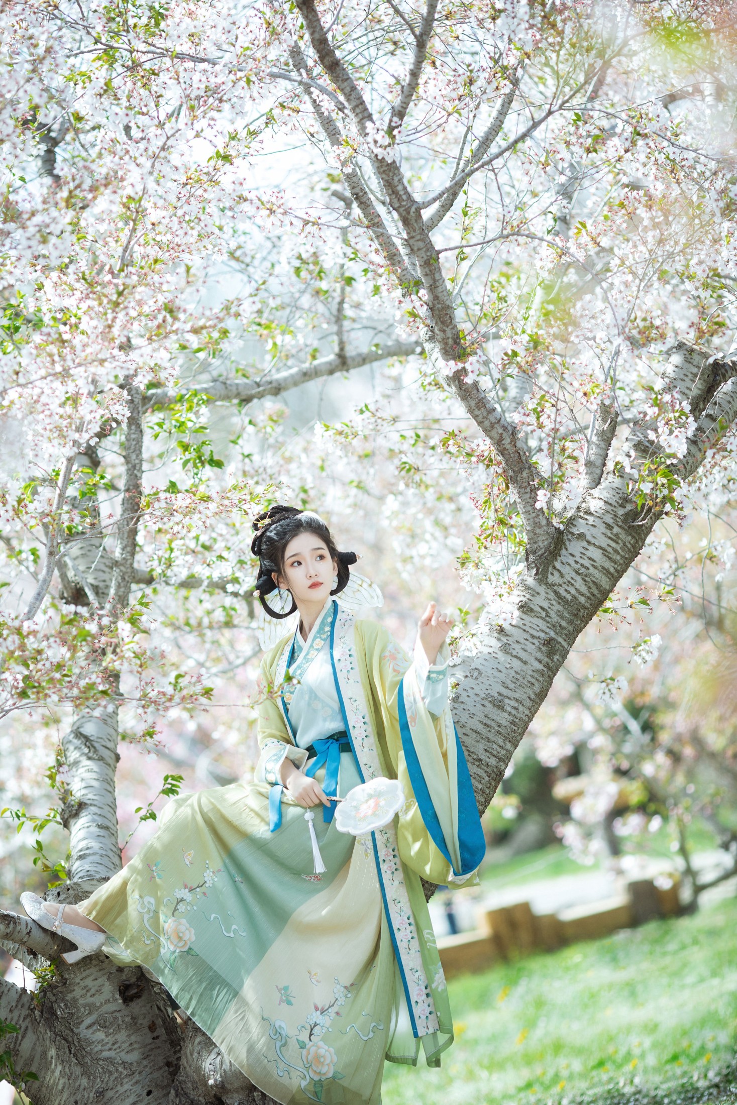 相望回首喵喵喵 – 《蝶恋花》[23P] 插图3