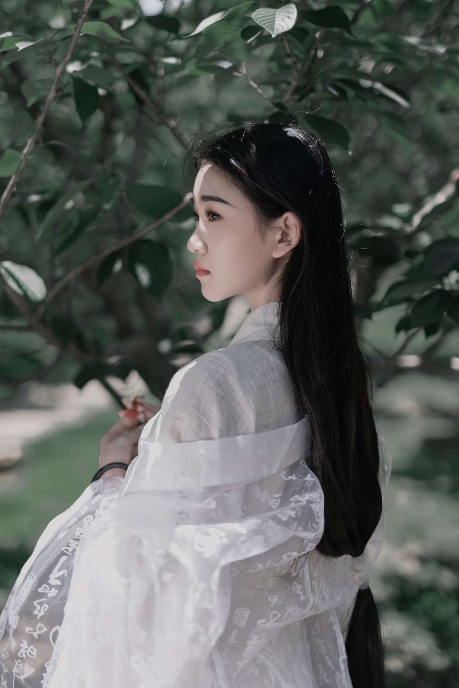 相望回首喵喵喵 – 《白衣》[29P]