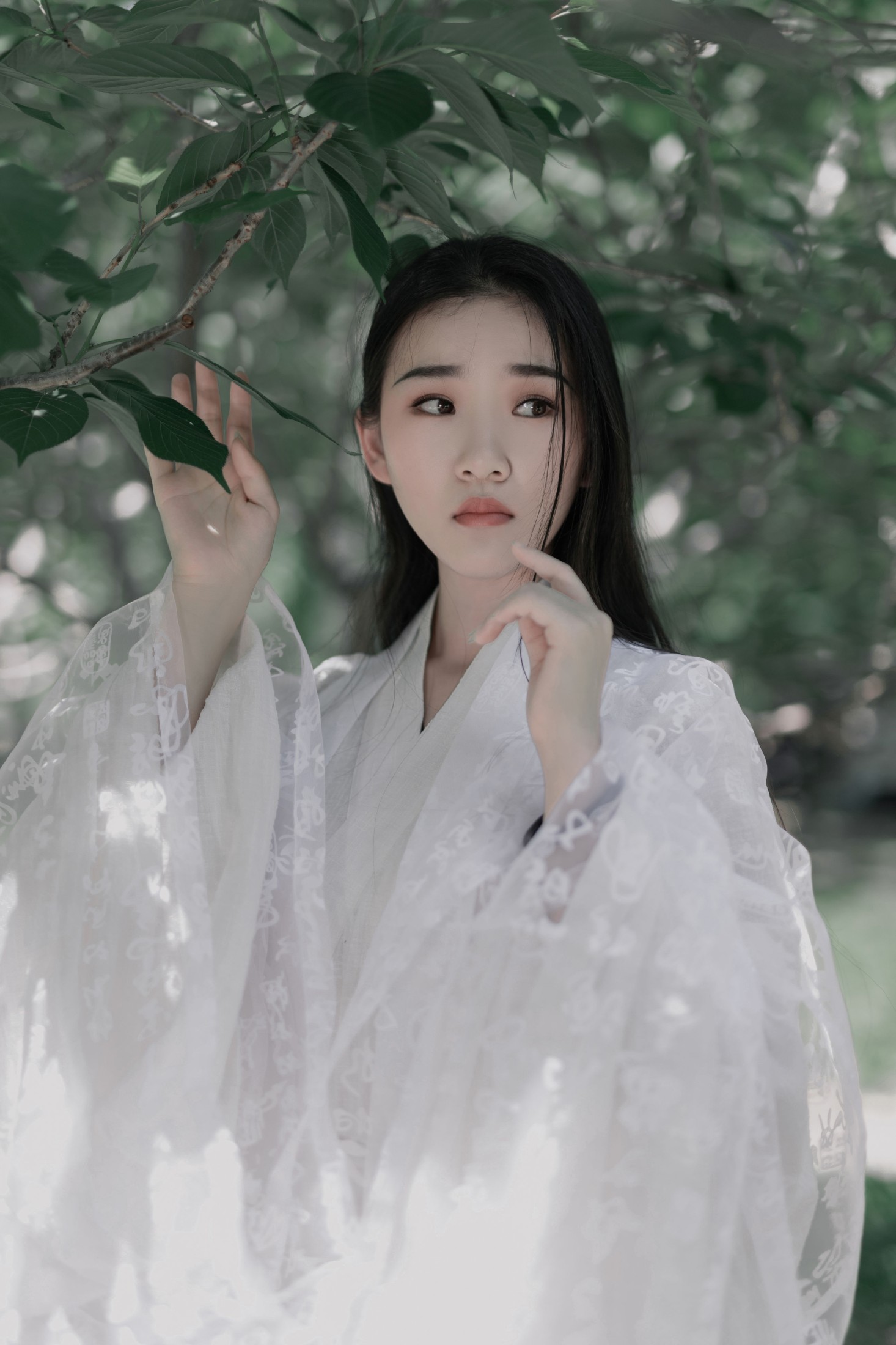 相望回首喵喵喵 – 《白衣》[29P]