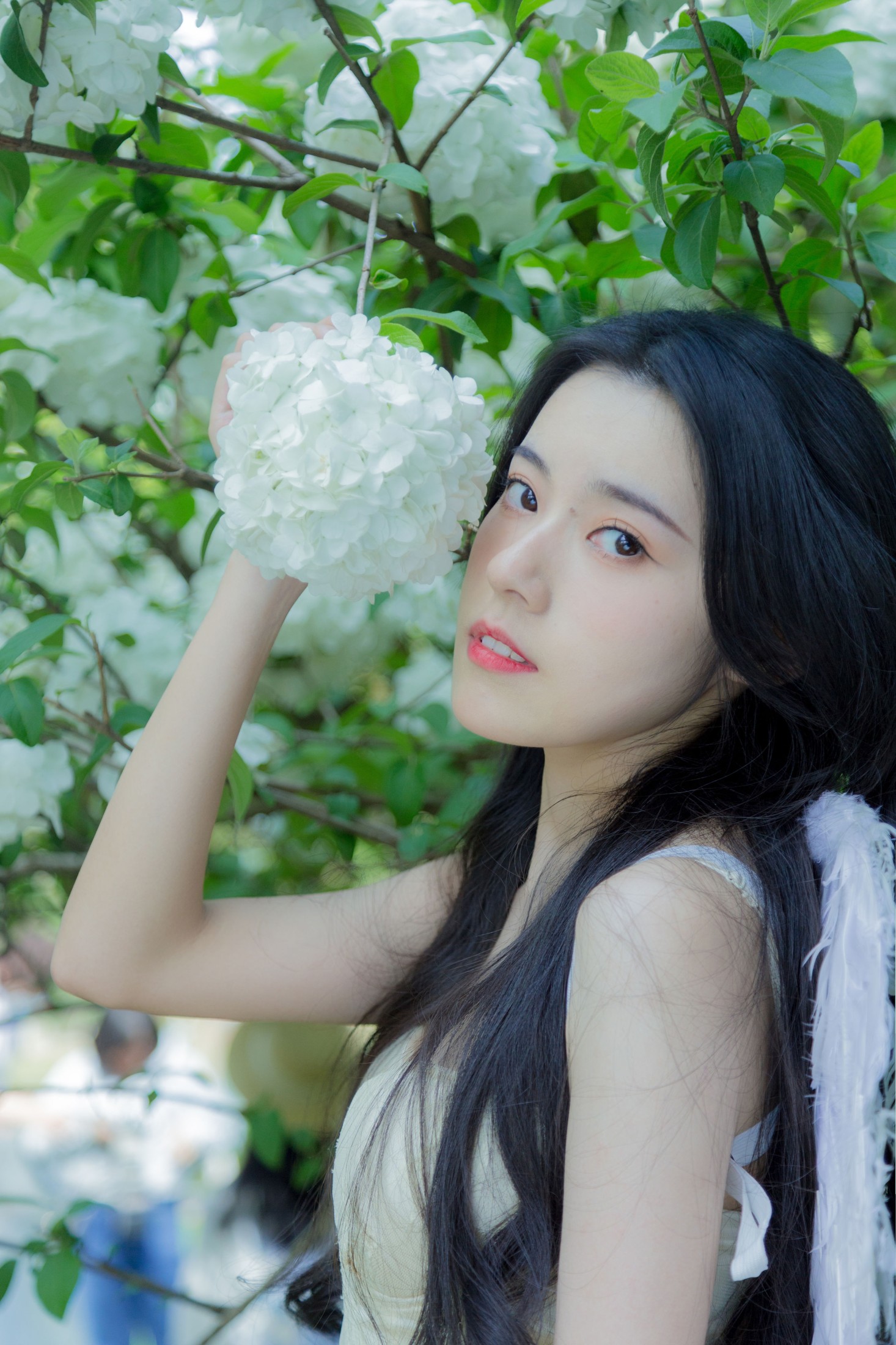 靜鏡婧 – 《轻轻》[36P]