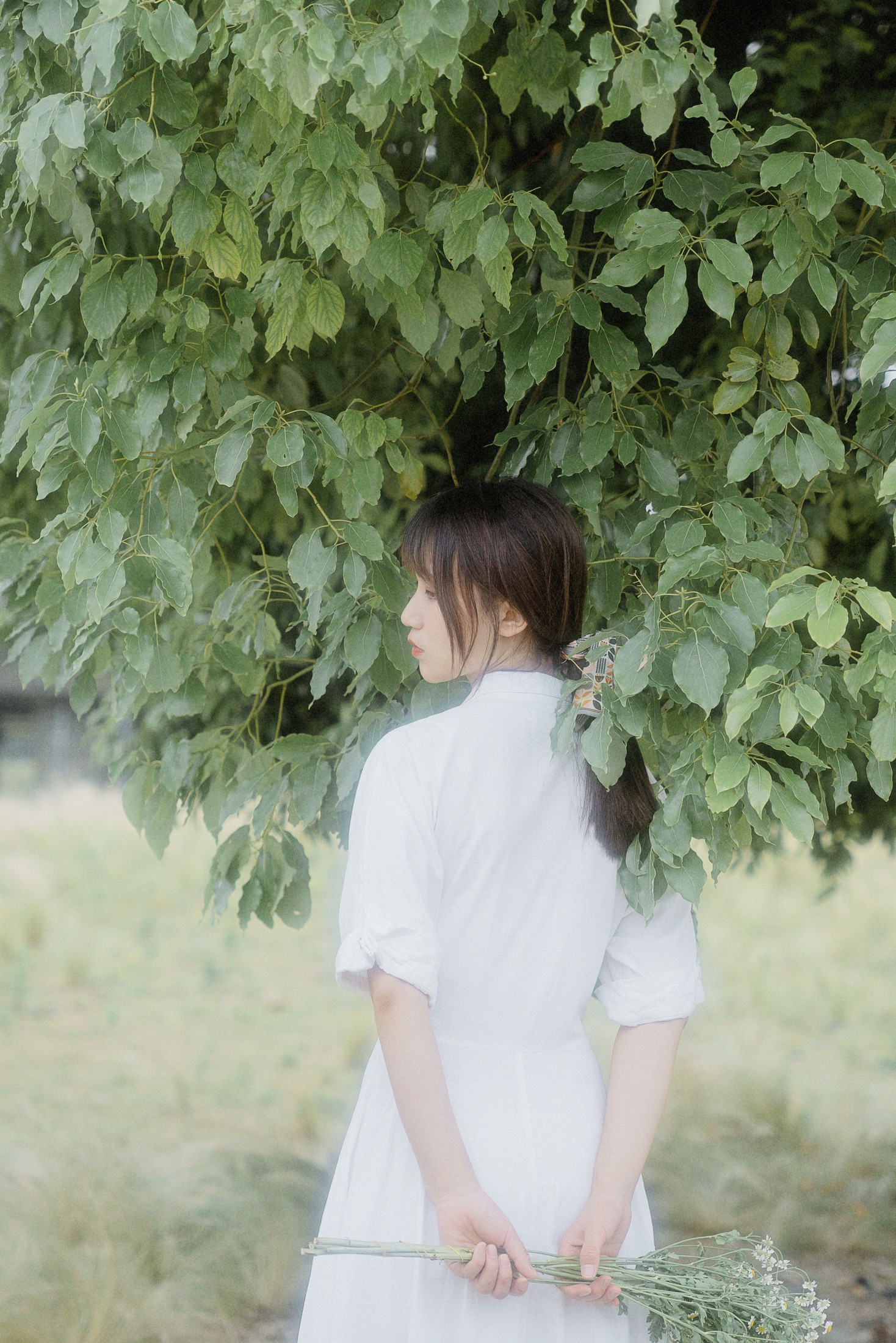 是思思呀wo 黎子画画 – 《高天之歌》[29P] 插图5