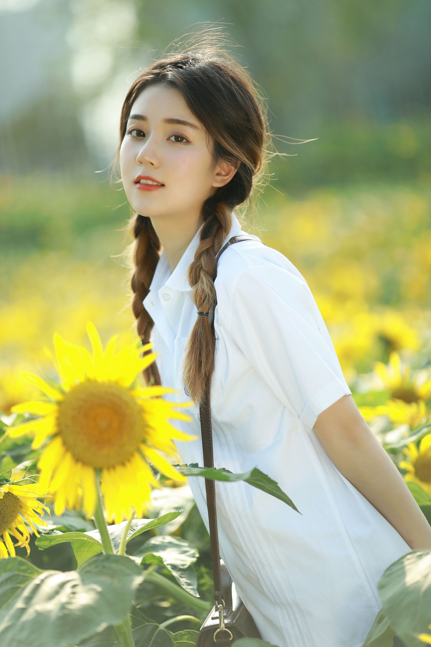 莎莎 – 《向日葵少女》[21P]