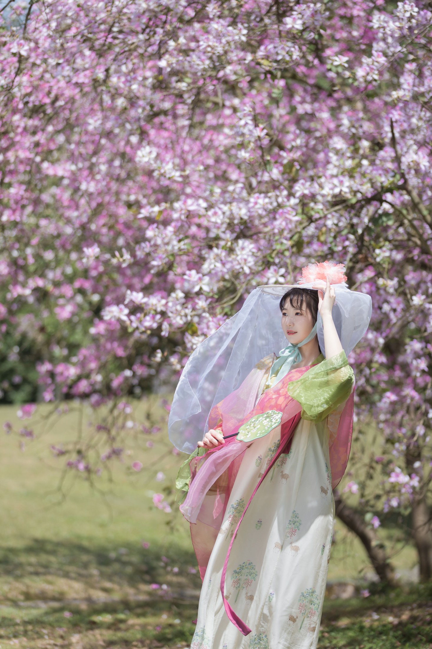 fun – 《花如锦》[28P]