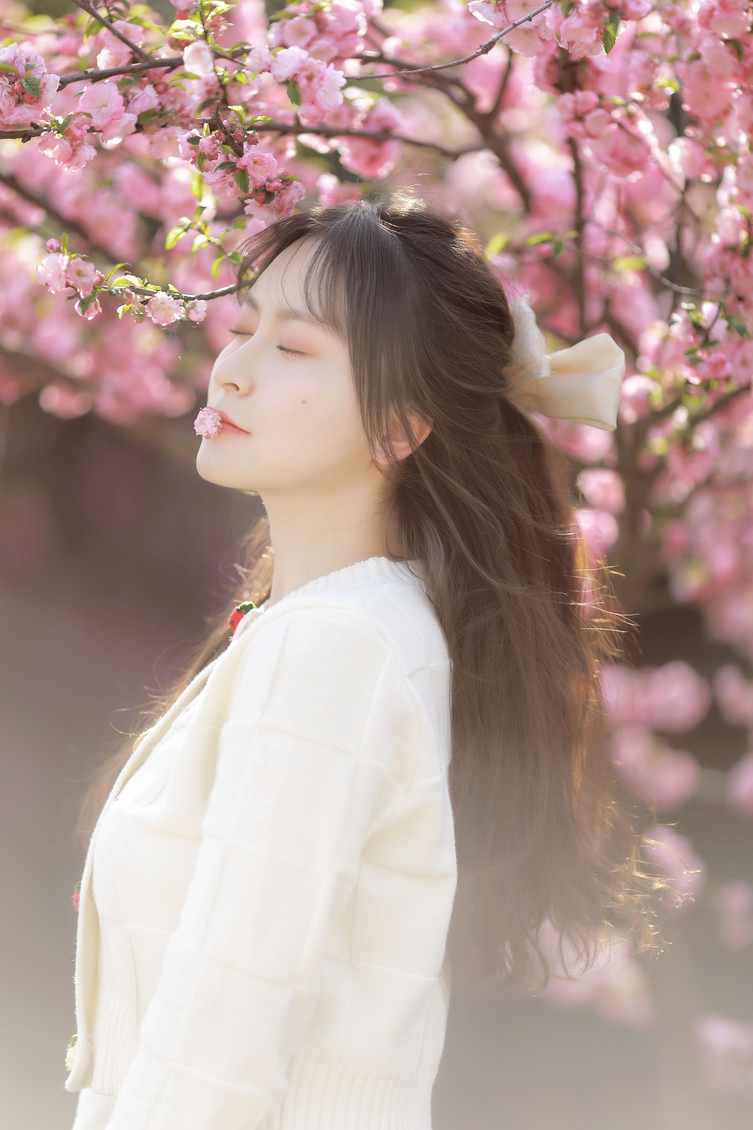 嘉嘉 – 《初樱》[20P]