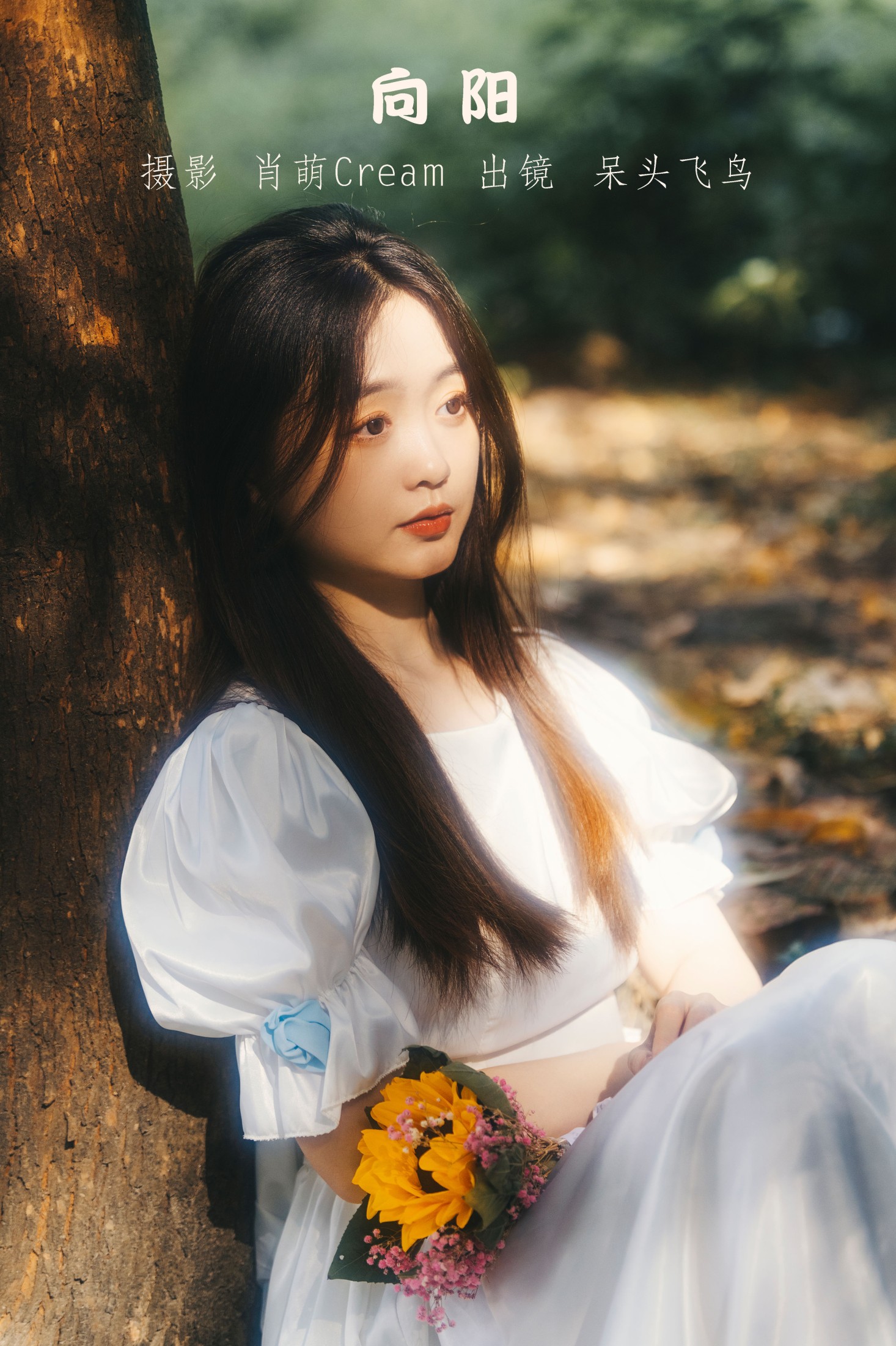 呆头飞鸟_ – 《向阳》[25P]