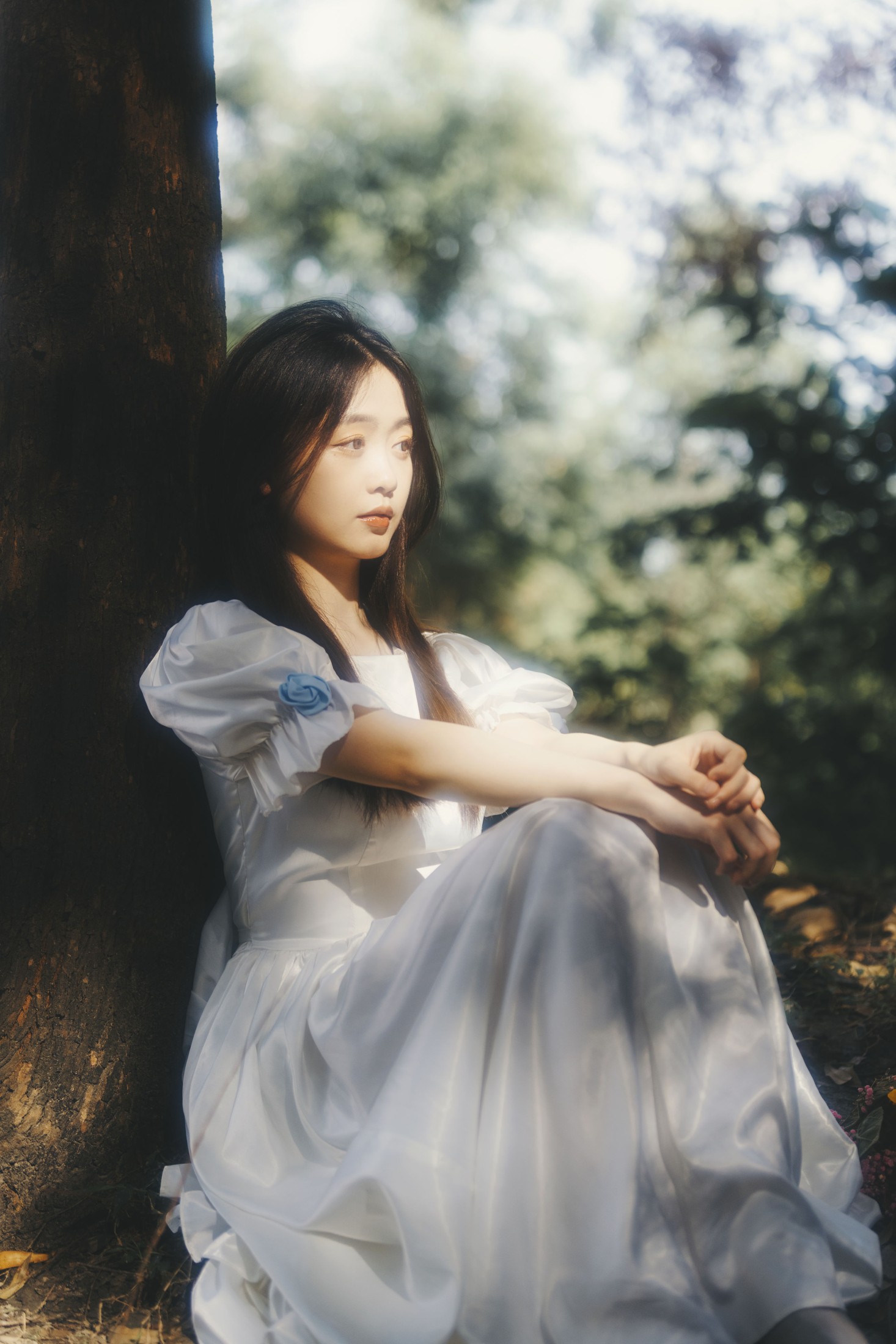 呆头飞鸟_ – 《向阳》[25P] 插图3