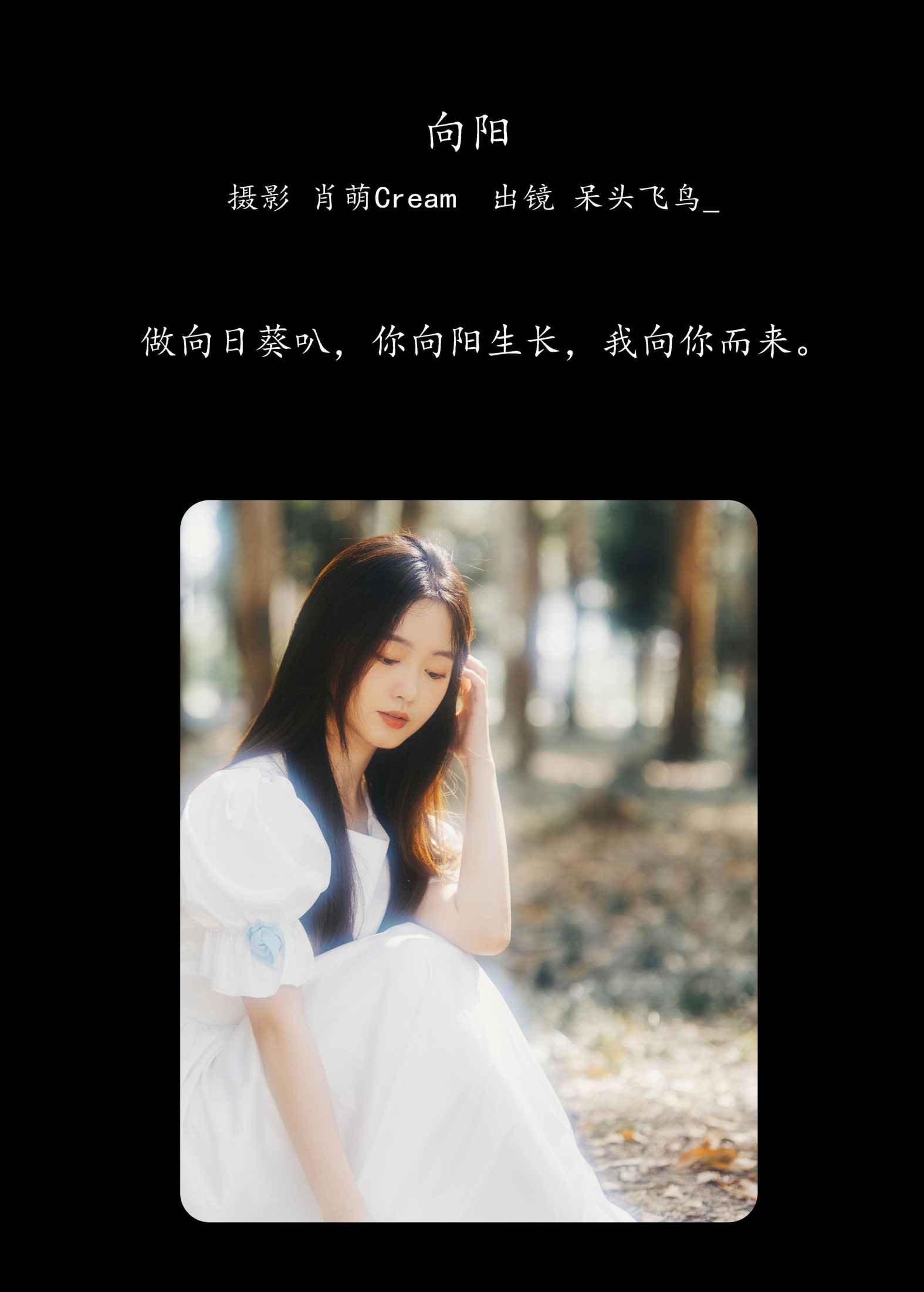 呆头飞鸟_ – 《向阳》[25P] 插图2