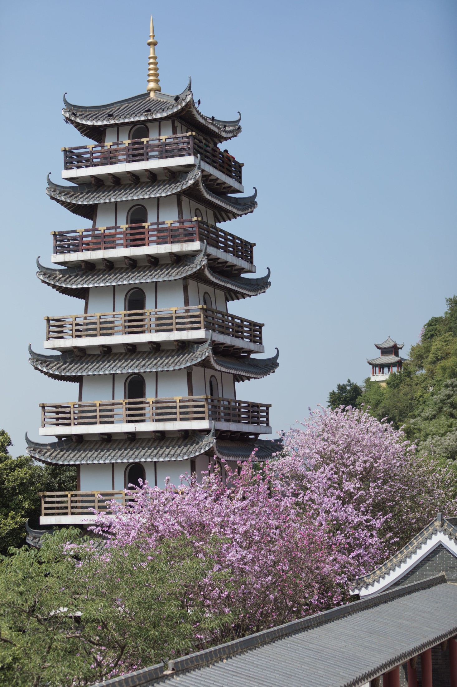 刘哈喇子 – 《袅娜》[26P]