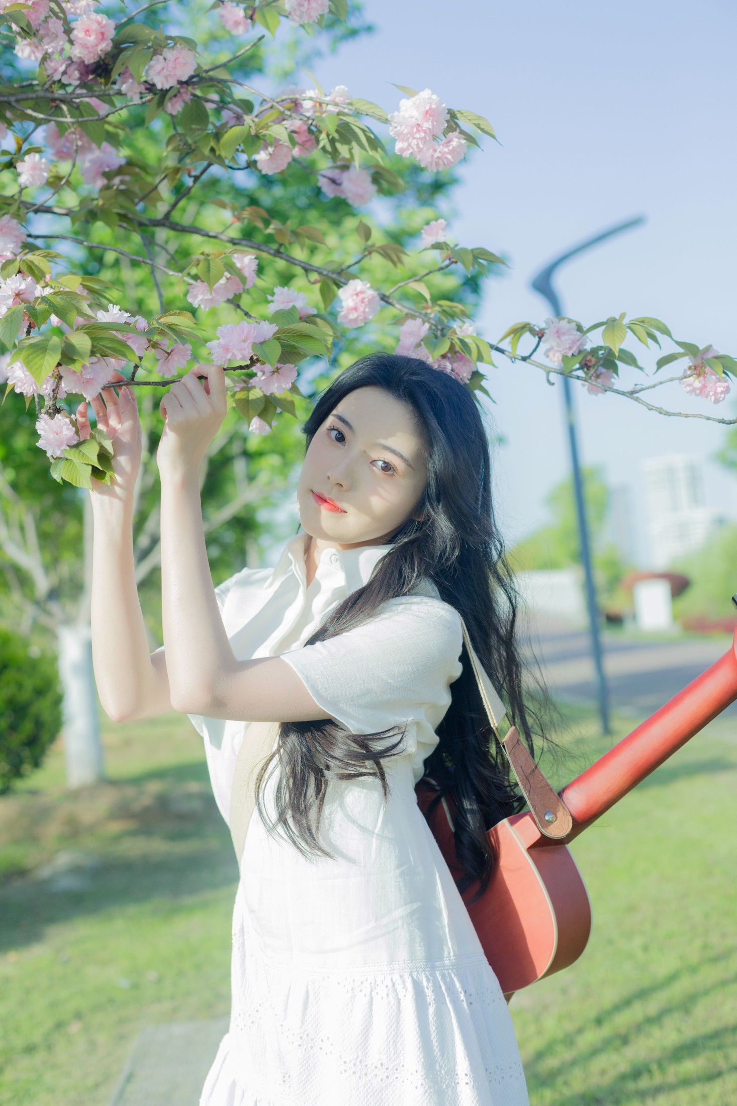 靜鏡婧 – 《给晚樱的情歌》[28P]