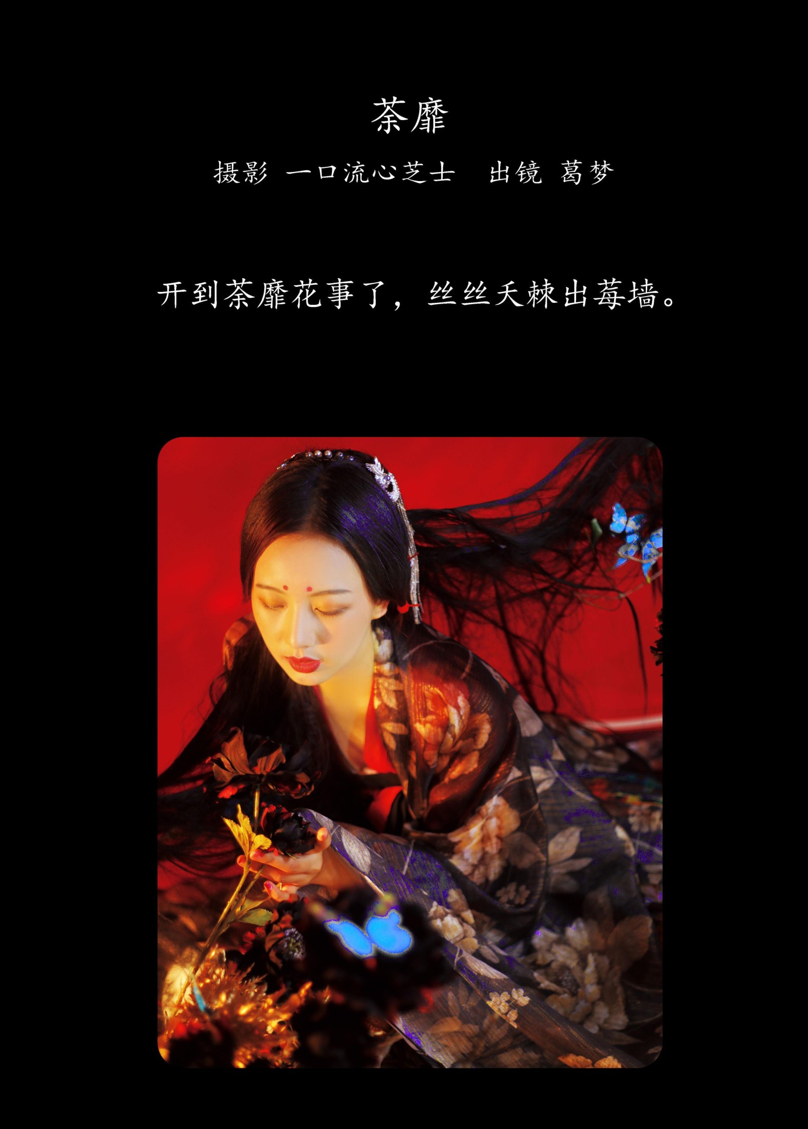 葛梦 – 《荼靡》[33P]