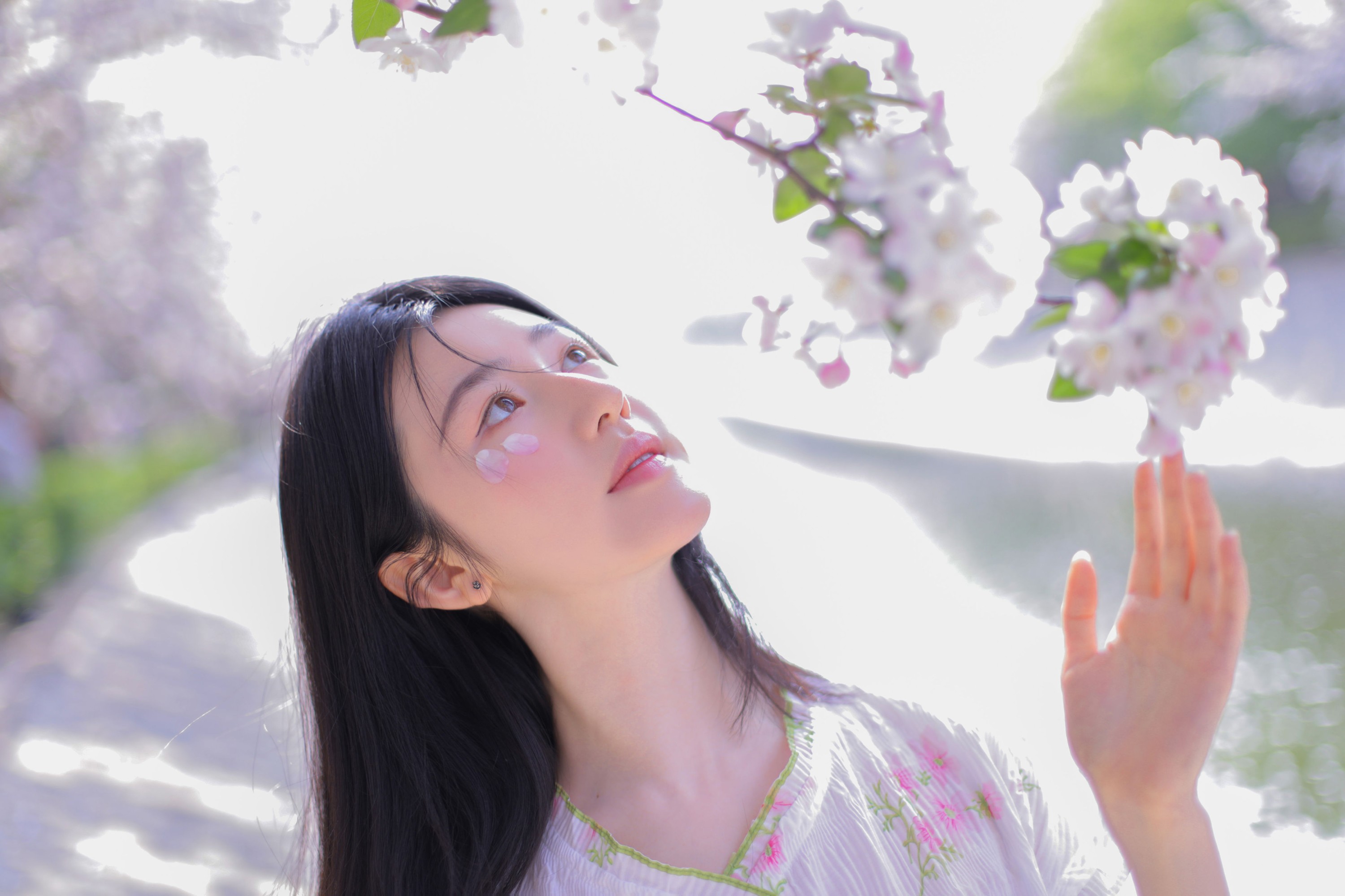 oeil – 《已觉春心动》[29P]