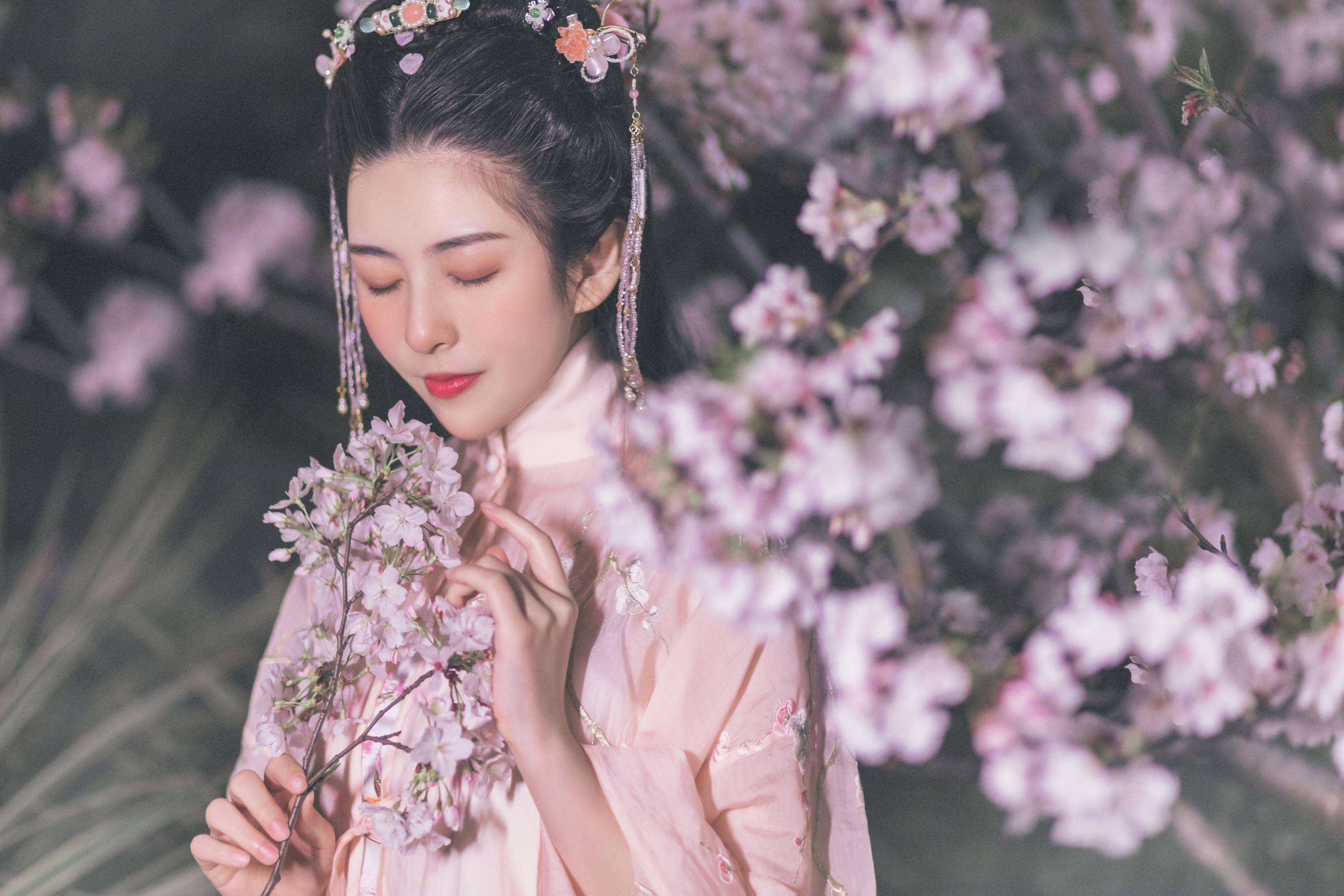 秘制大何酱 – 《夜樱》[25P]