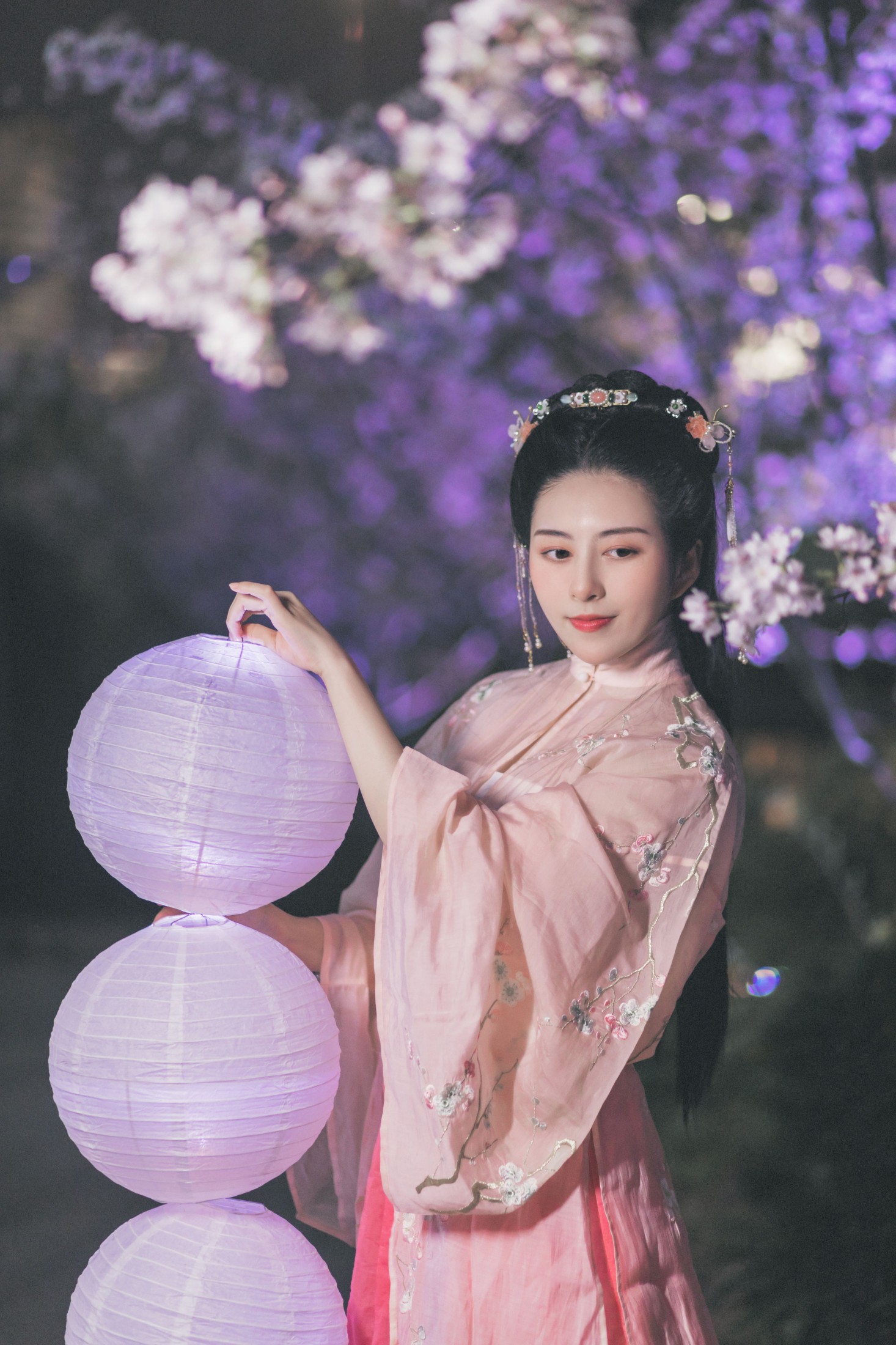 秘制大何酱 – 《夜樱》[25P]