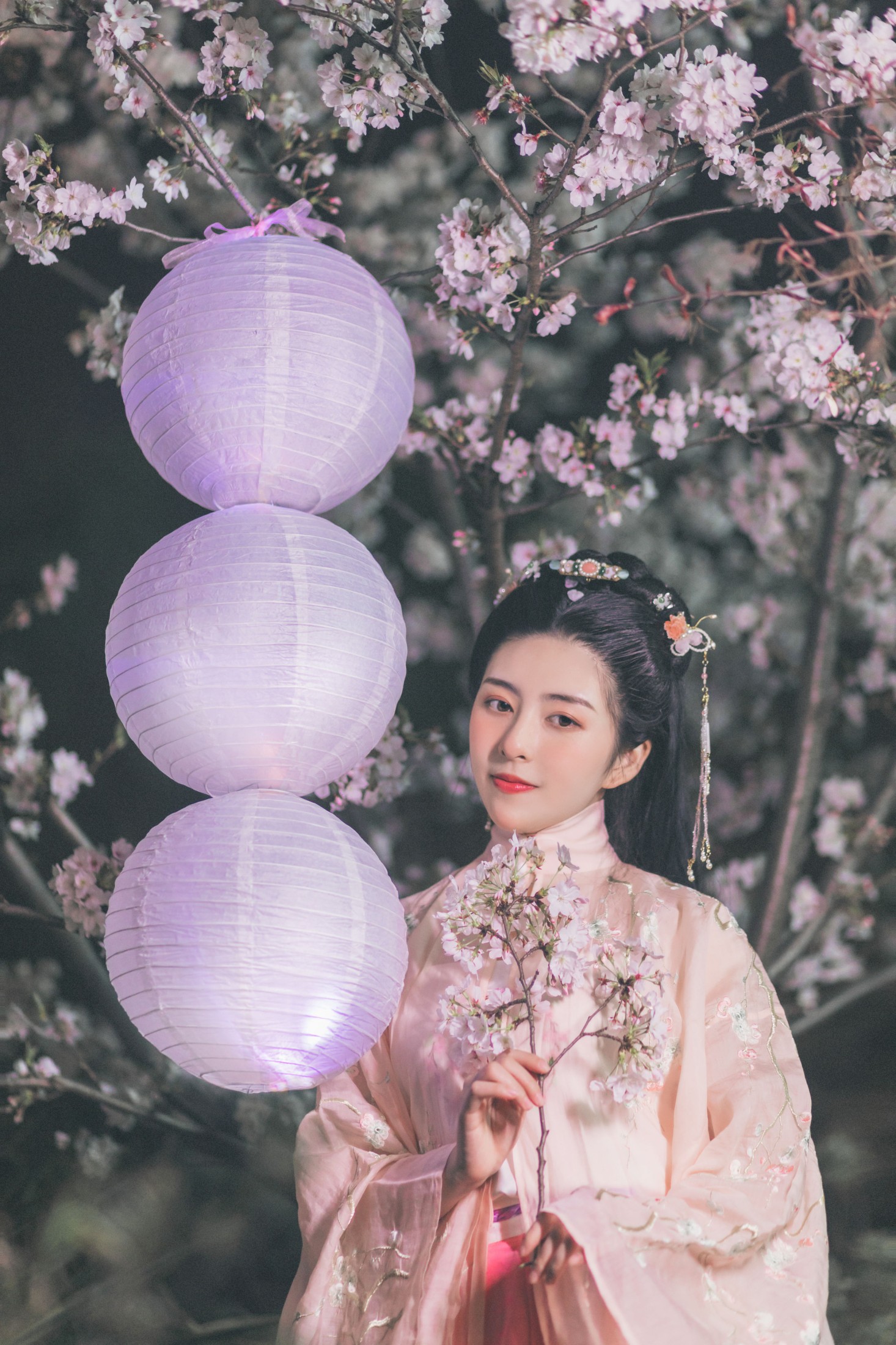 秘制大何酱 – 《夜樱》[25P]