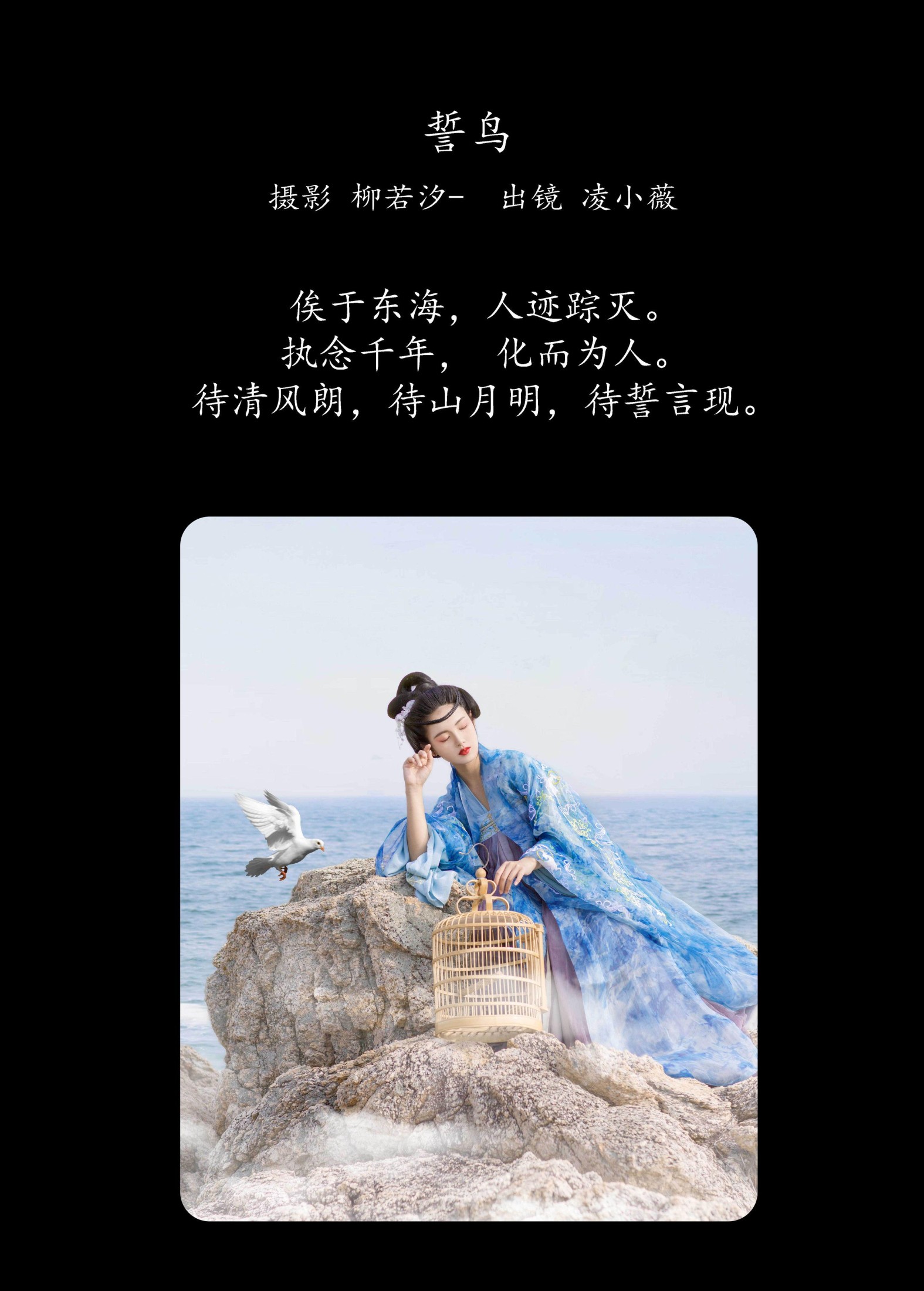 凌小薇 – 《誓鸟》[24P]