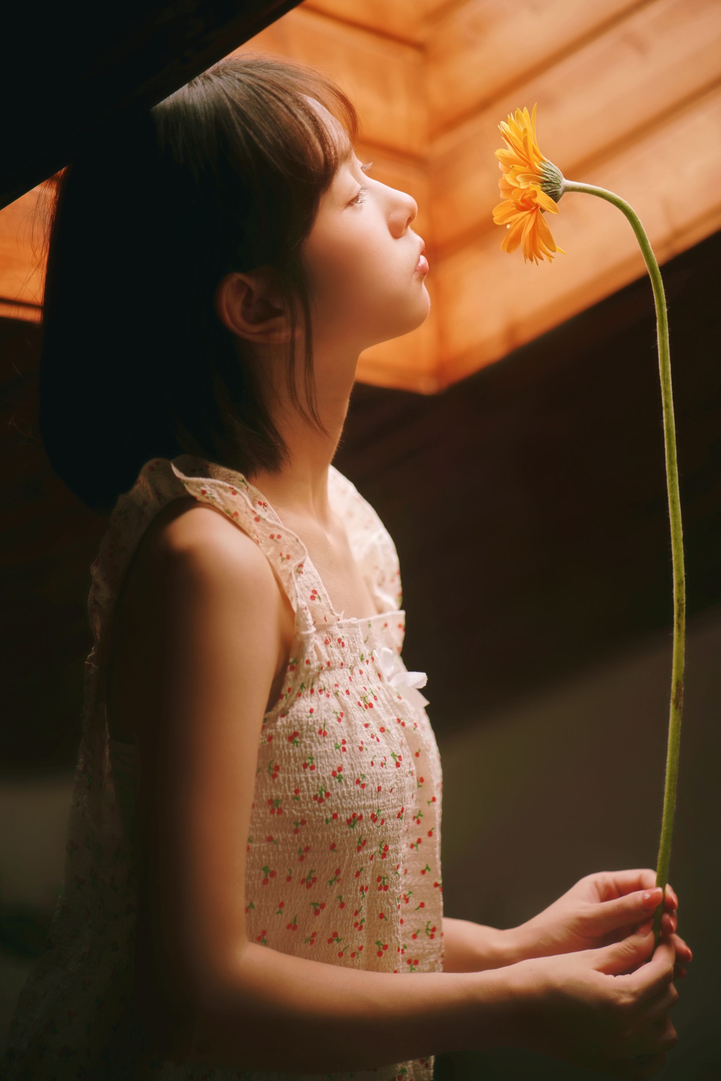 小微 – 《疯狂的鱼缸是我的宇航服，我带上心爱的非洲菊去登月》[29P]