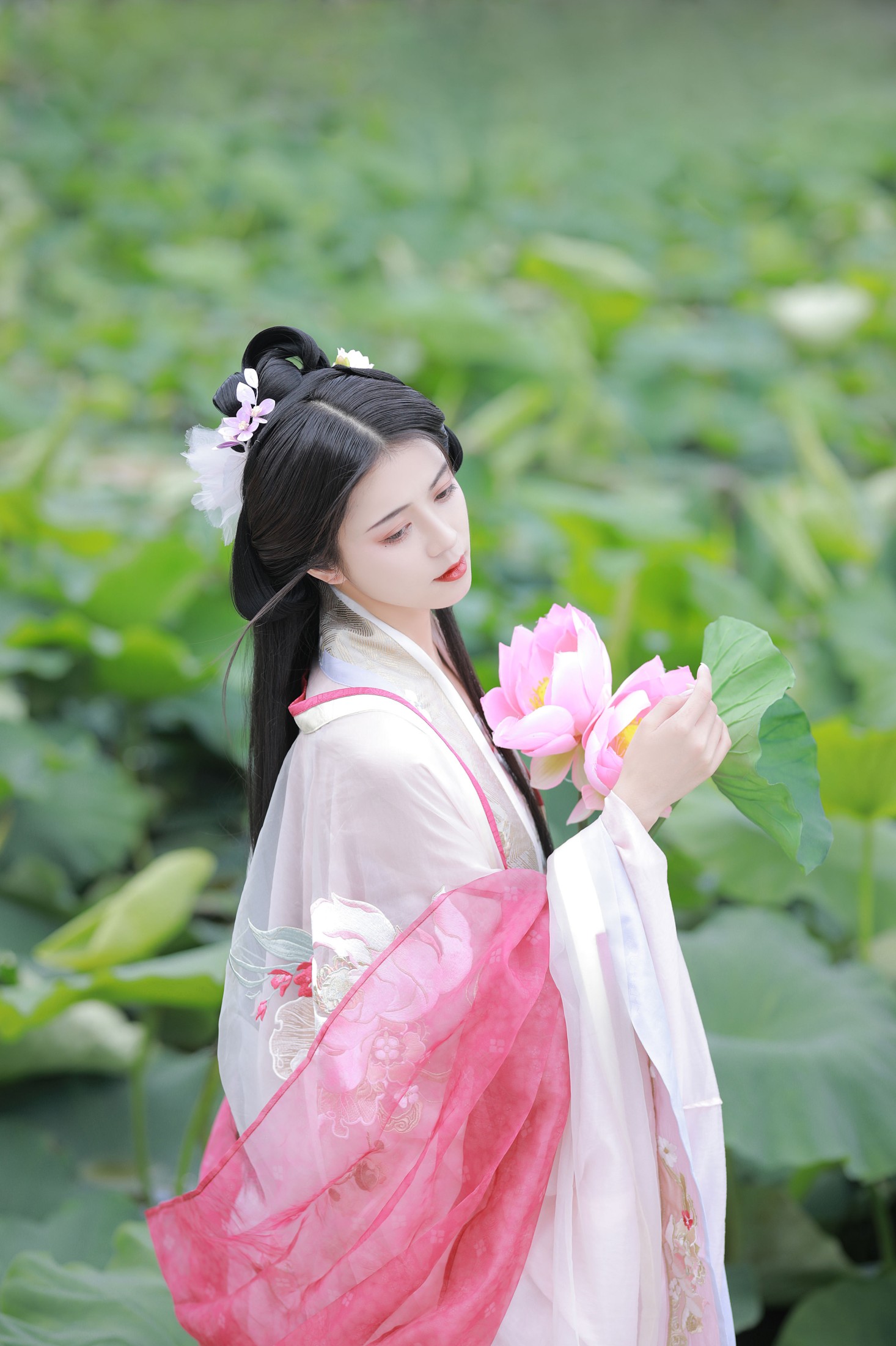 吾岁岁 – 《山有扶苏，隰有荷华》[39P]