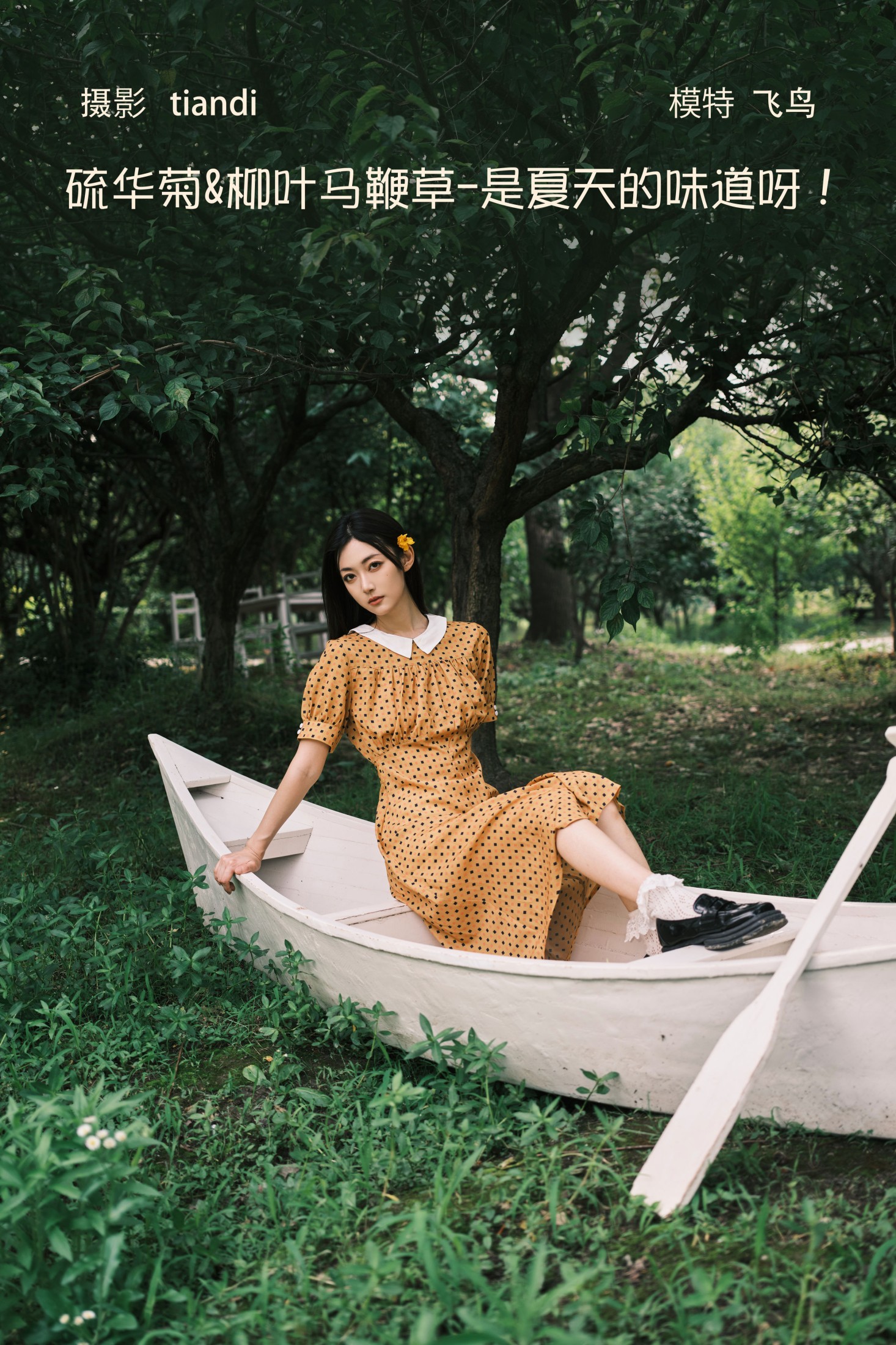 飞鸟咕咕- – 《硫华菊&柳叶马鞭草-是夏天的味道呀！》[44P]