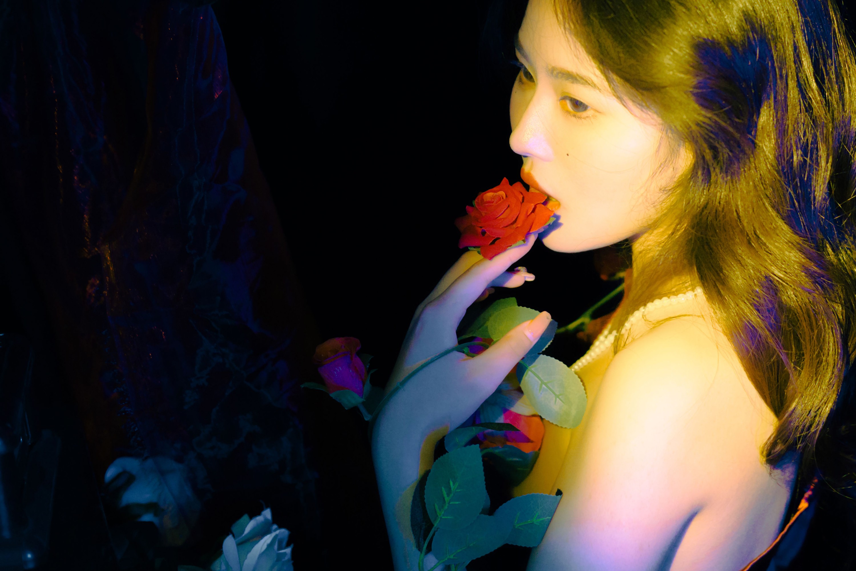 鸭鸭泡芙 – 《玫瑰往事》[29P]