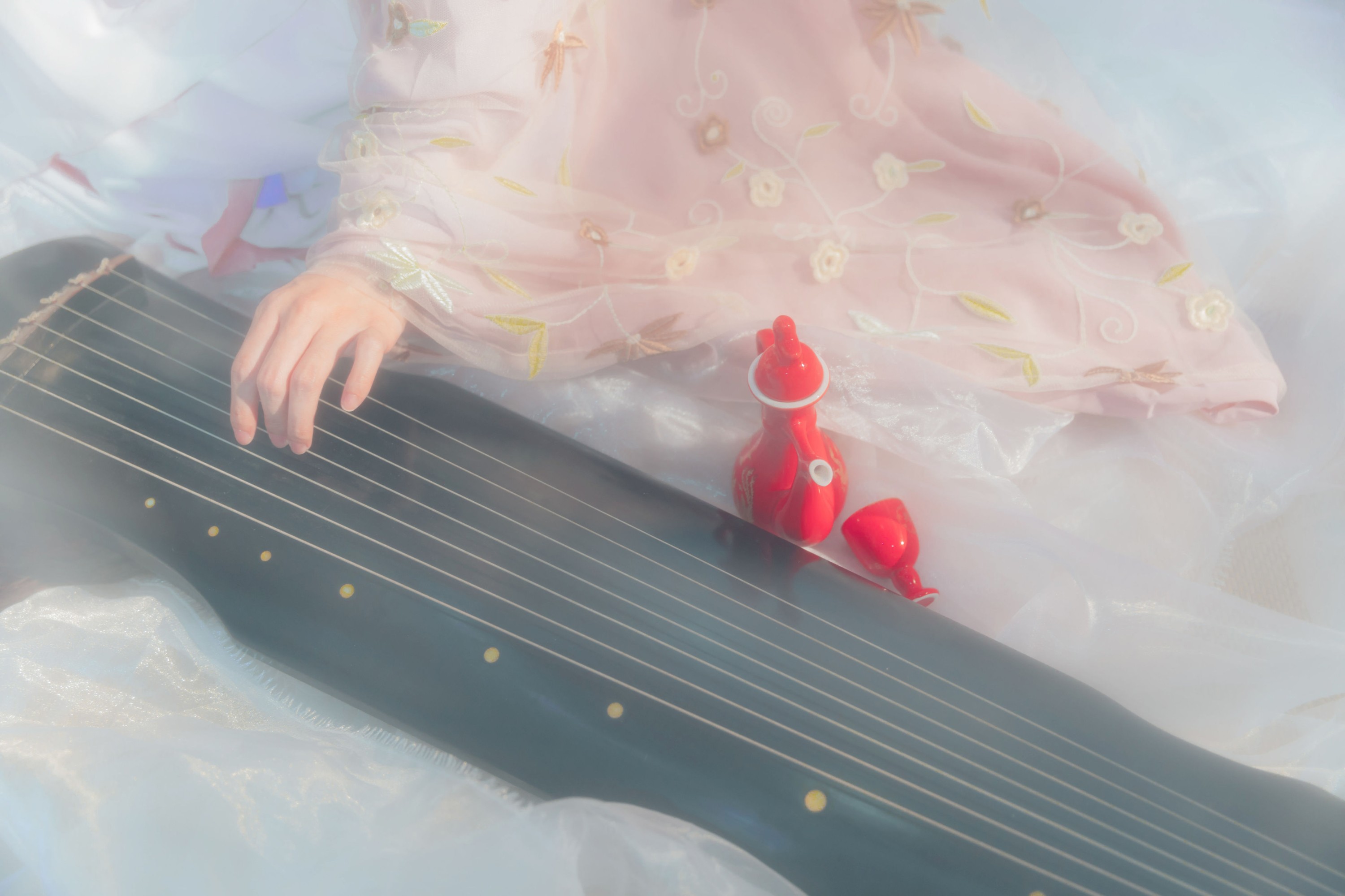 秘制大何酱 – 《琴语》[22P]