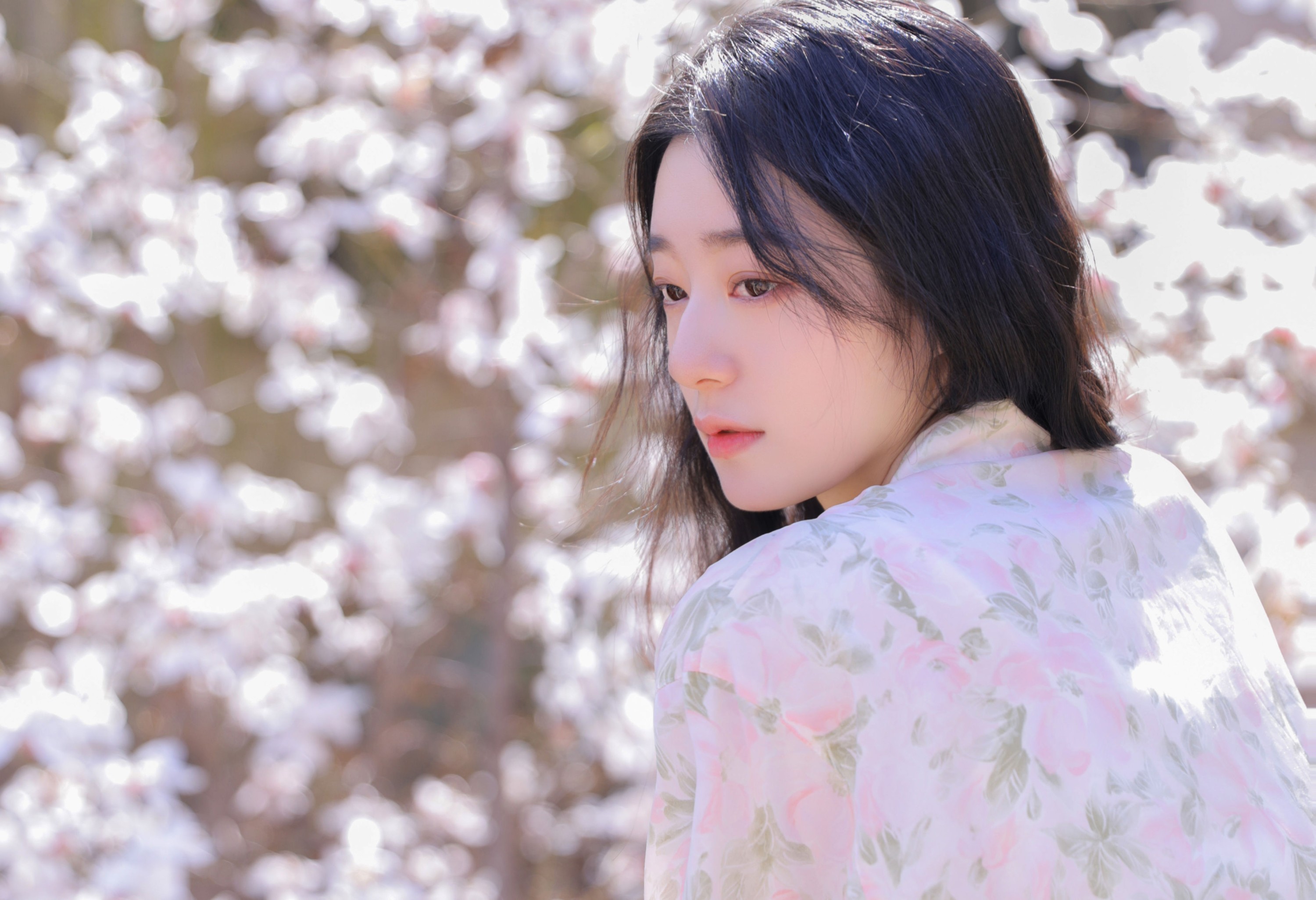 SS – 《遇见白花树》[20P]