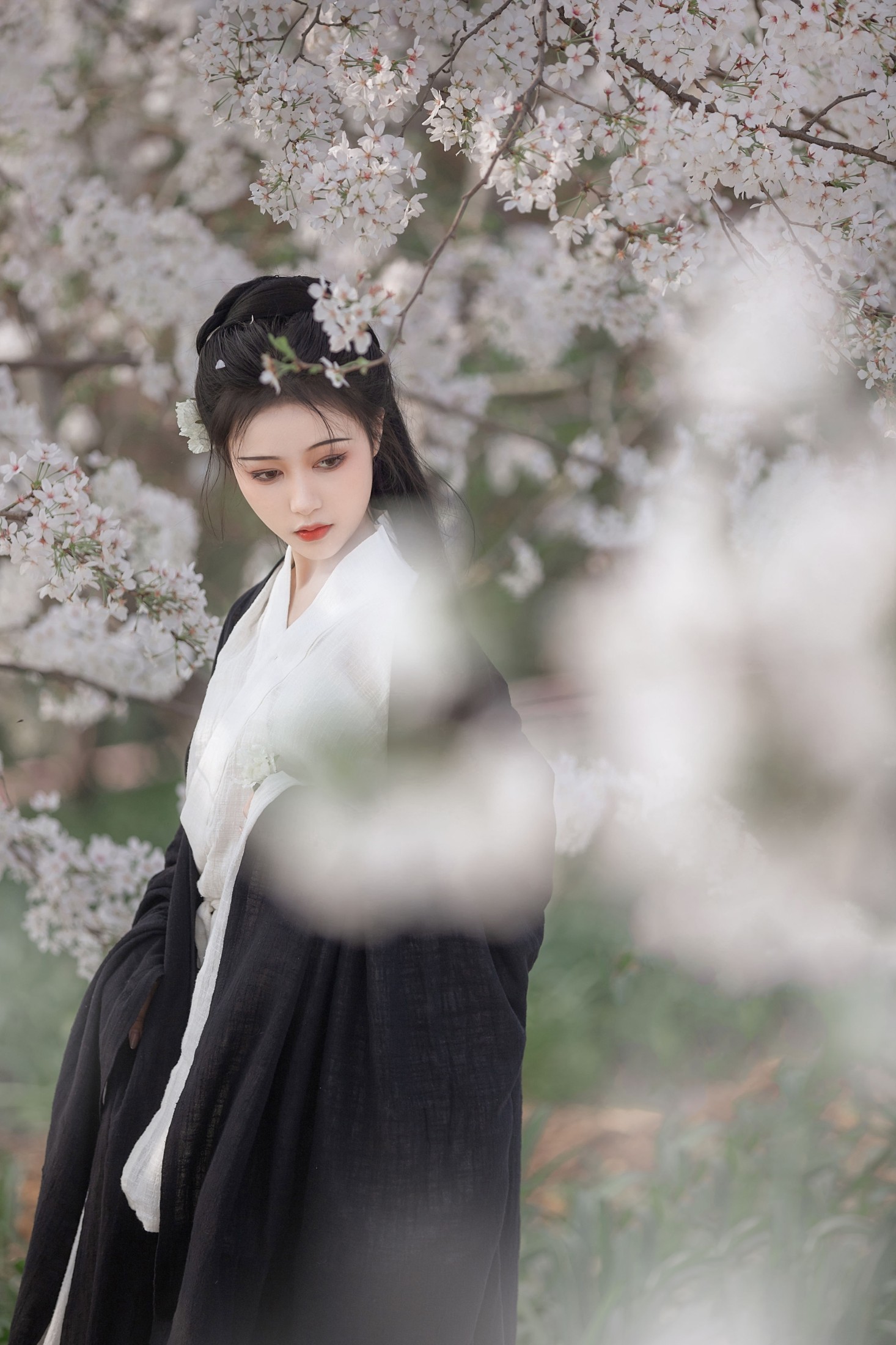 梨一依 – 《白樱》[25P]