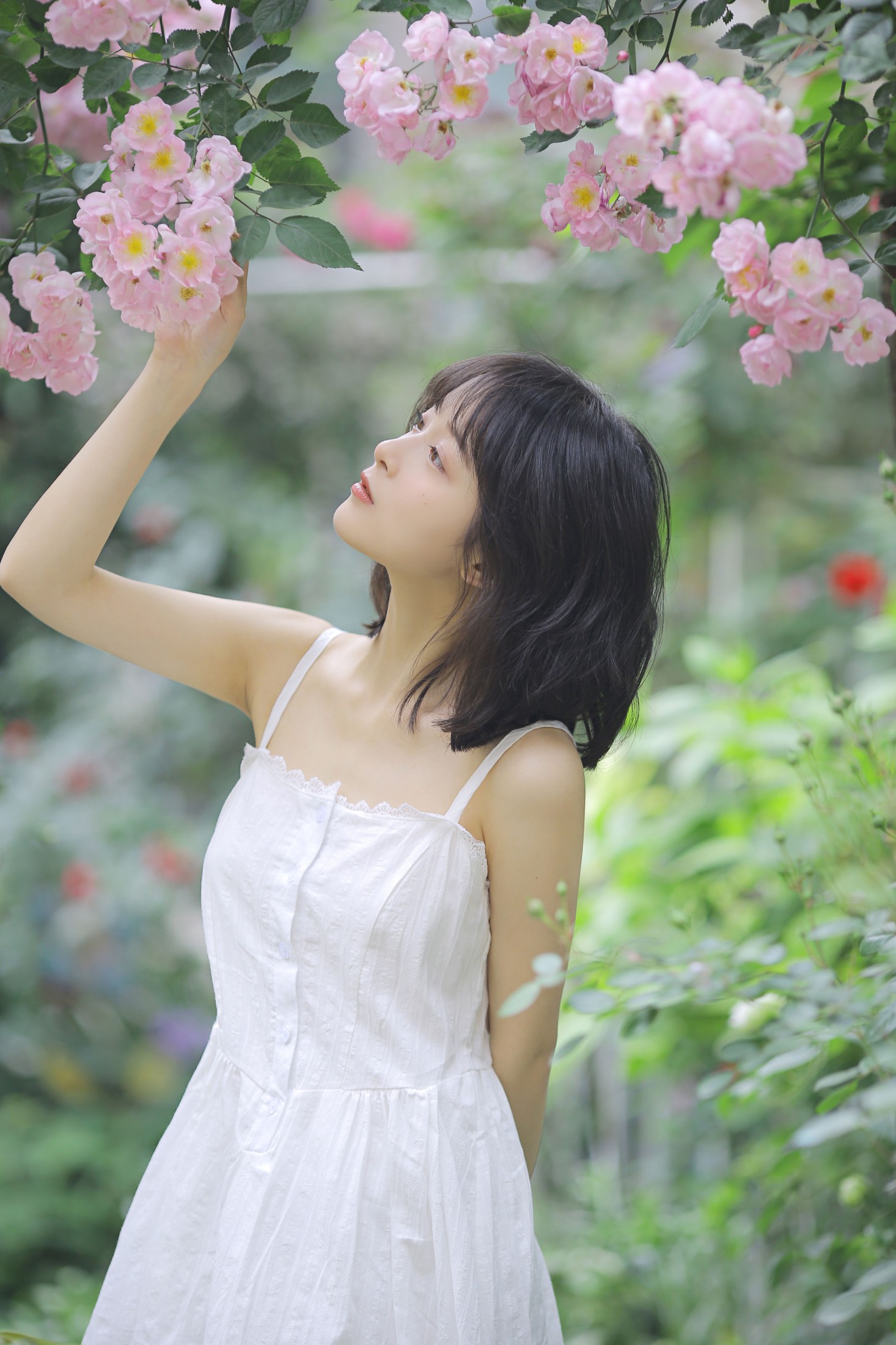 甜酒八號 – 《花期已致 美好如初》[30P]