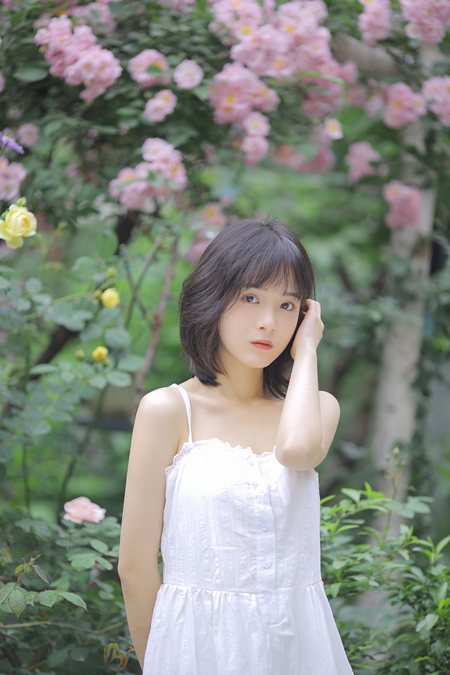 甜酒八號 – 《花期已致 美好如初》[30P]