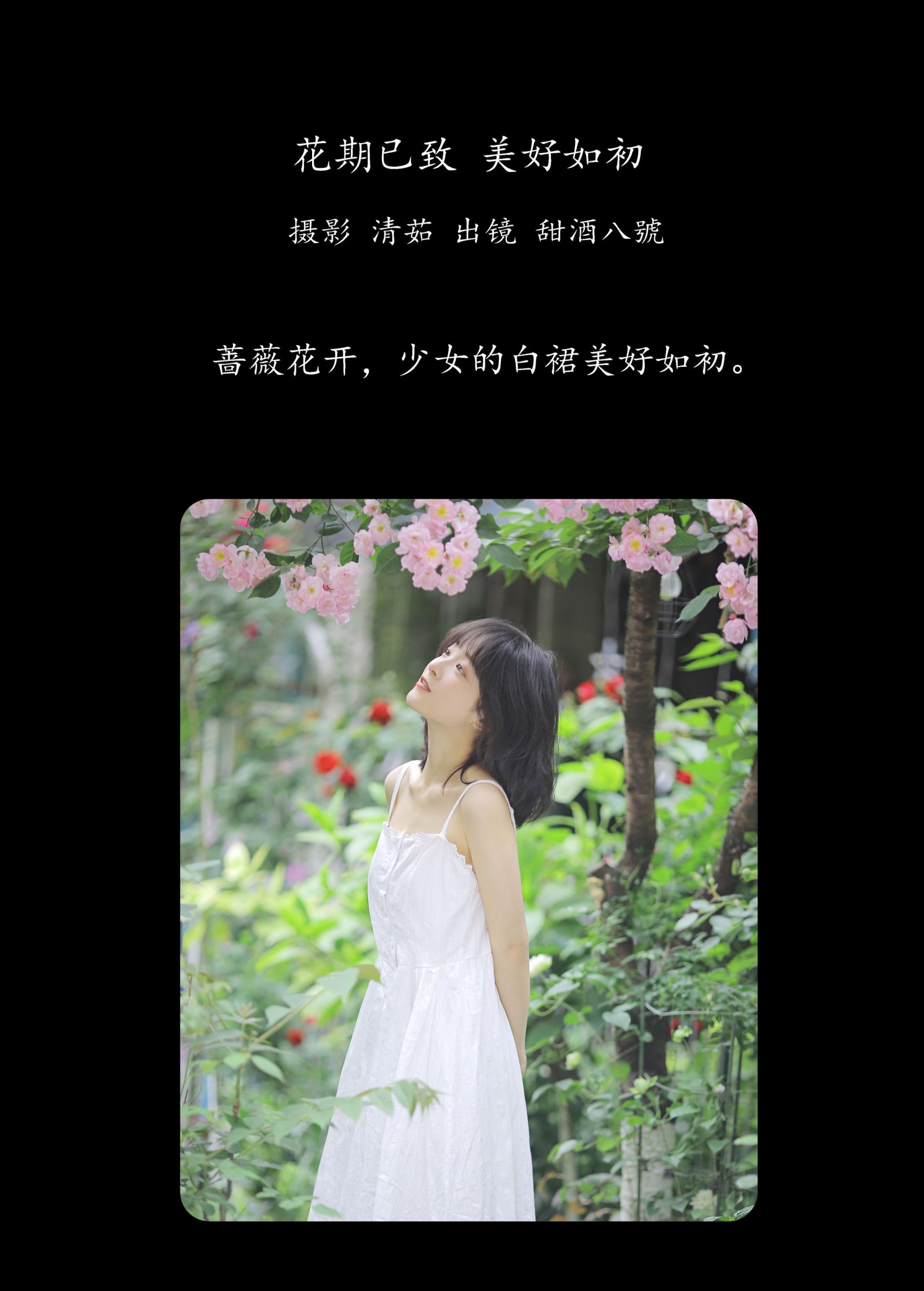 甜酒八號 – 《花期已致 美好如初》[30P]