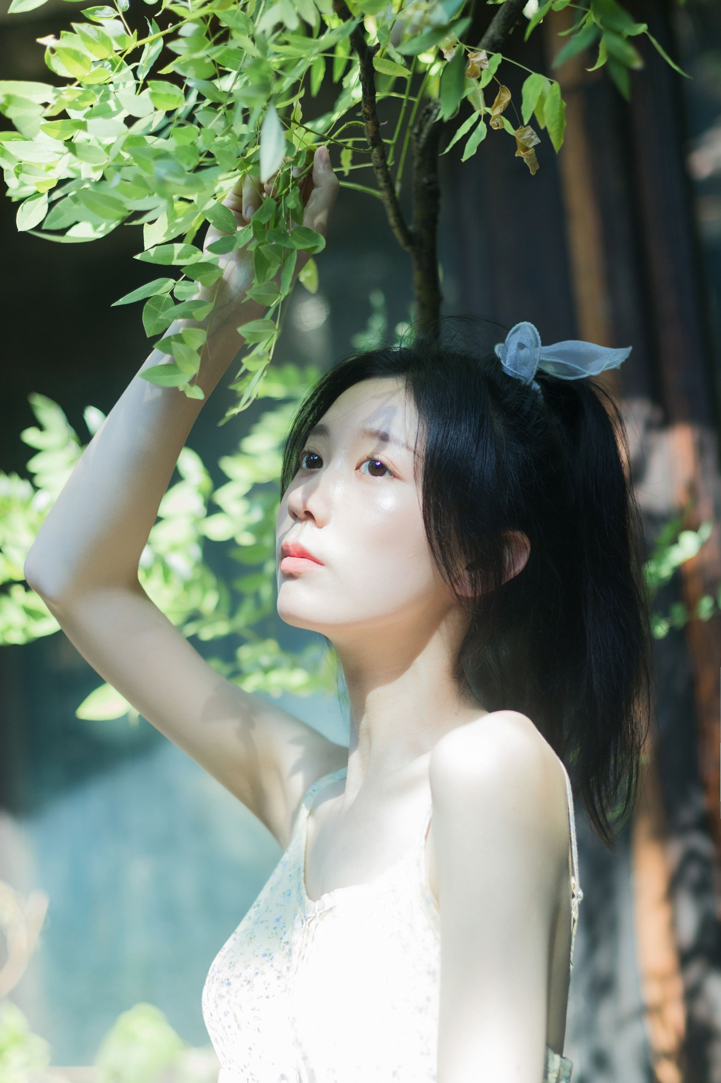 饲猫少女- – 《夏日凌霄》[33P]