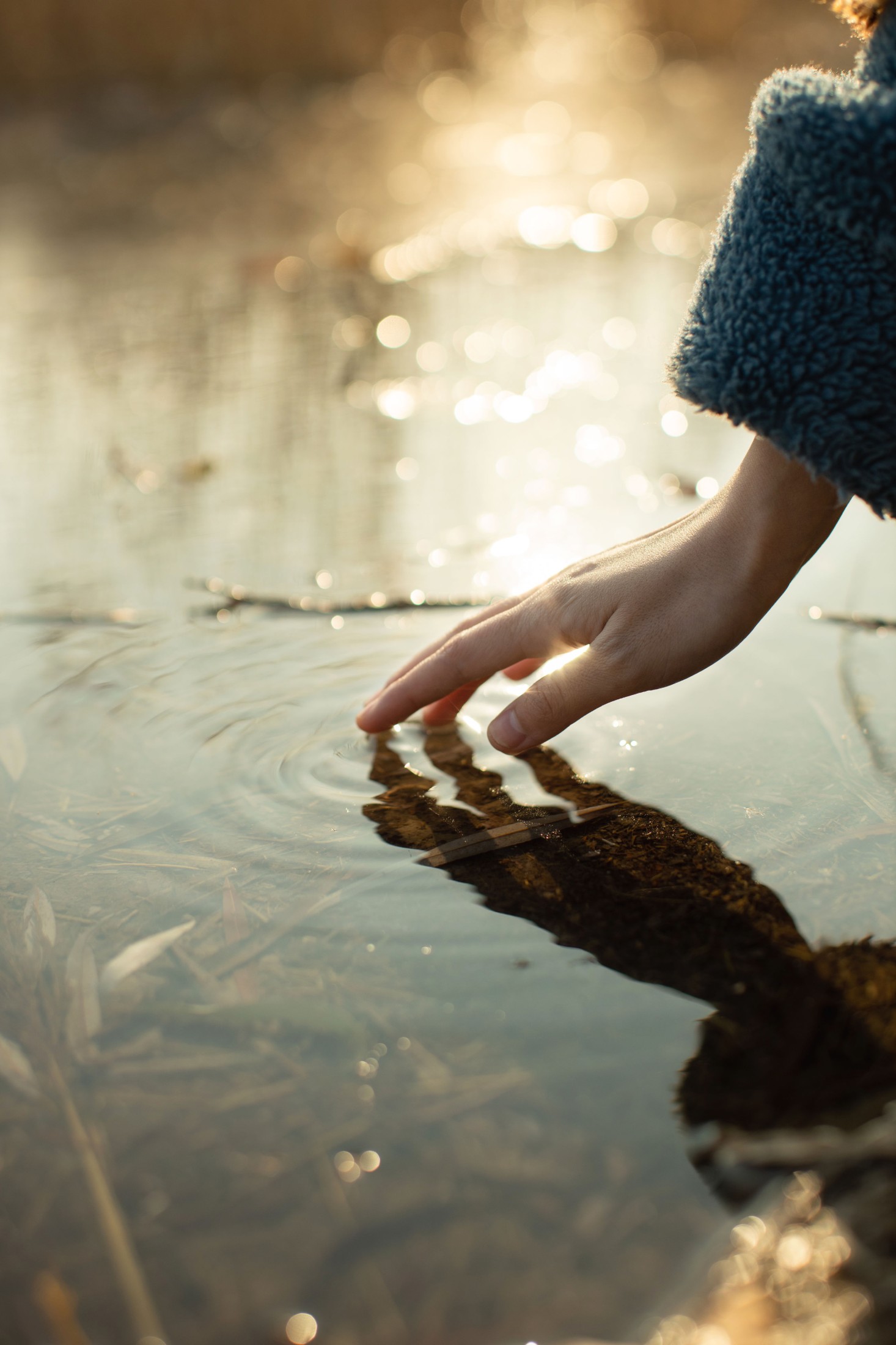 申雨蝶 – 《冬日暖阳》[21P]