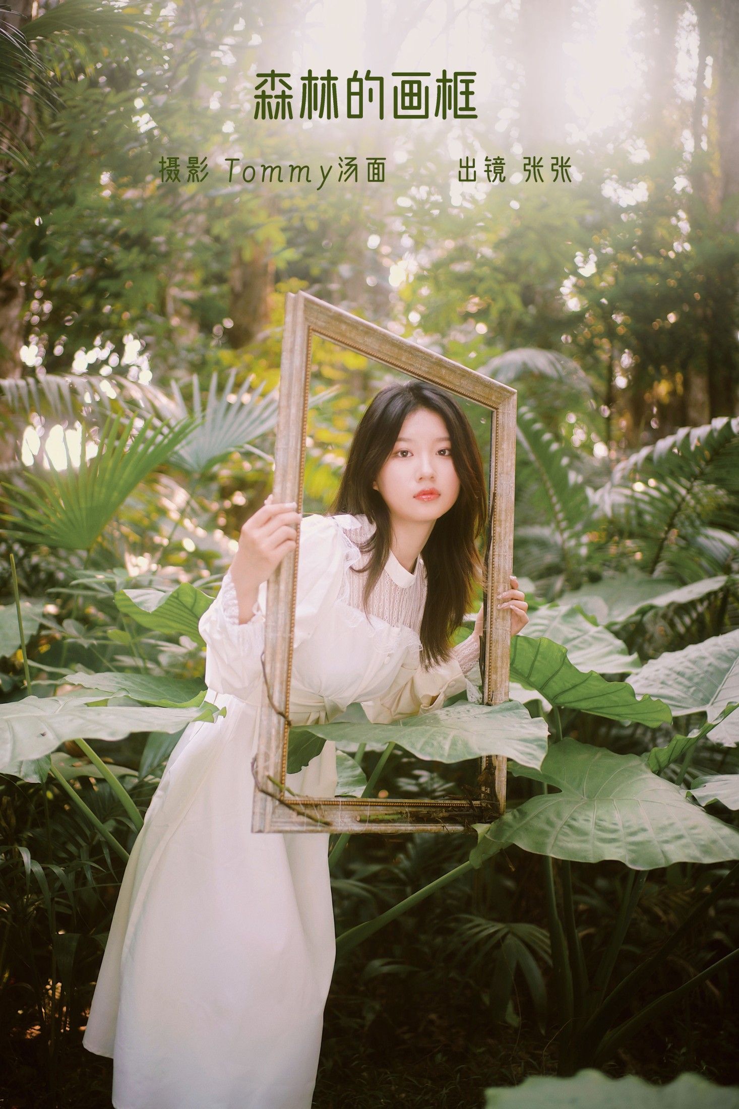 张张 – 《森林的画框》[29P]