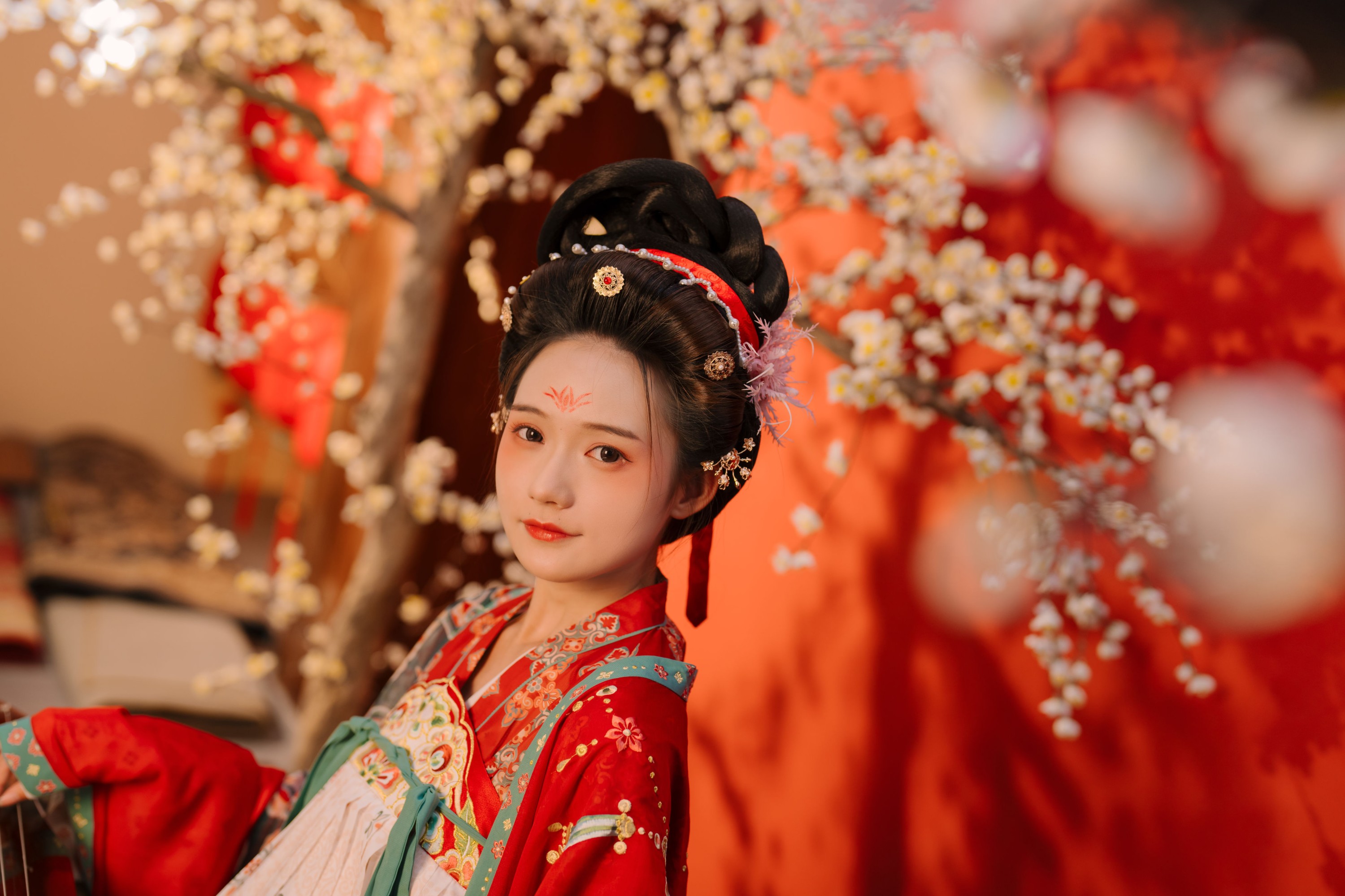 兔子Zzz不吃胡萝卜 – 《不负梦华》[23P]