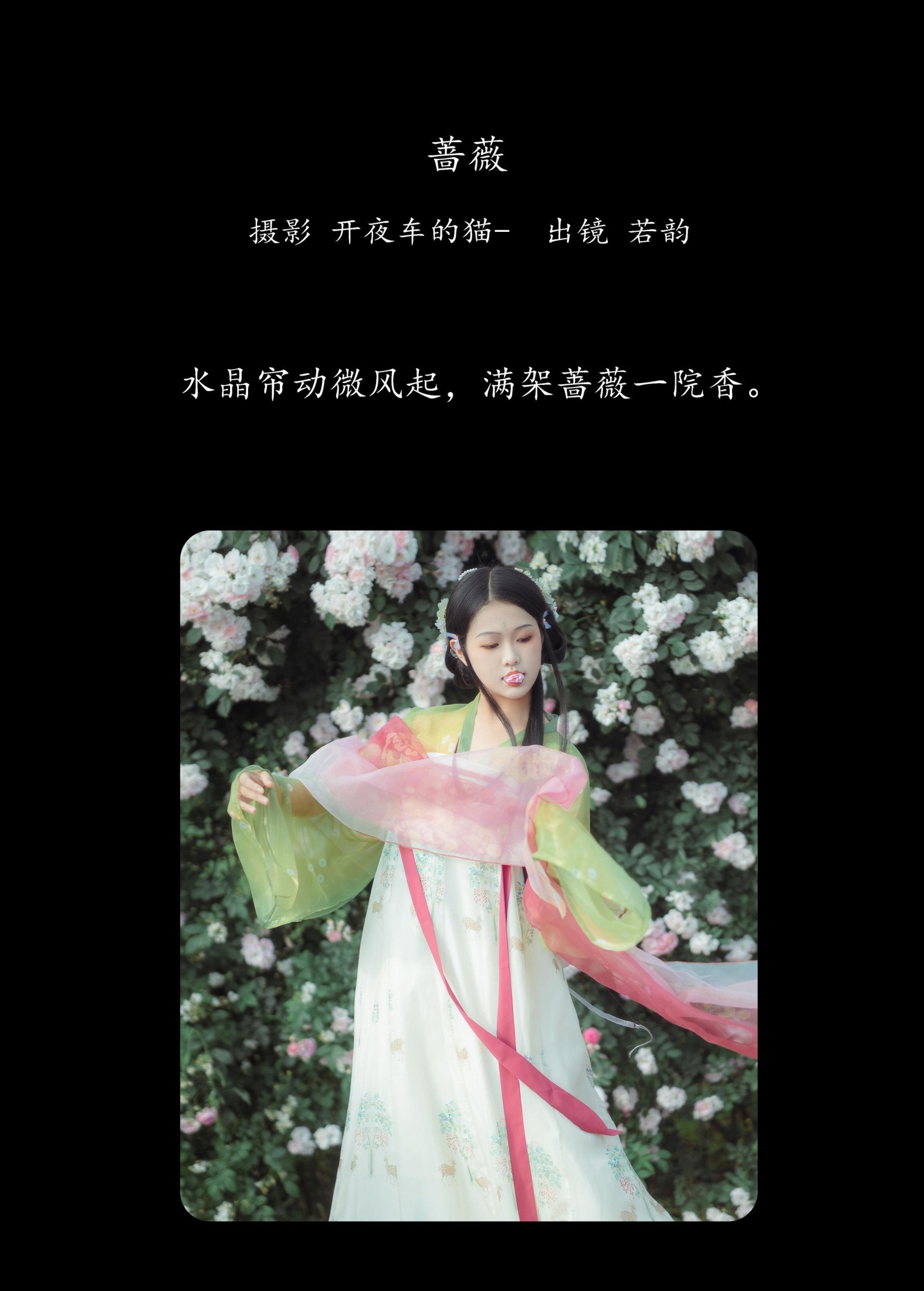 若韵 – 《蔷薇》[23P]