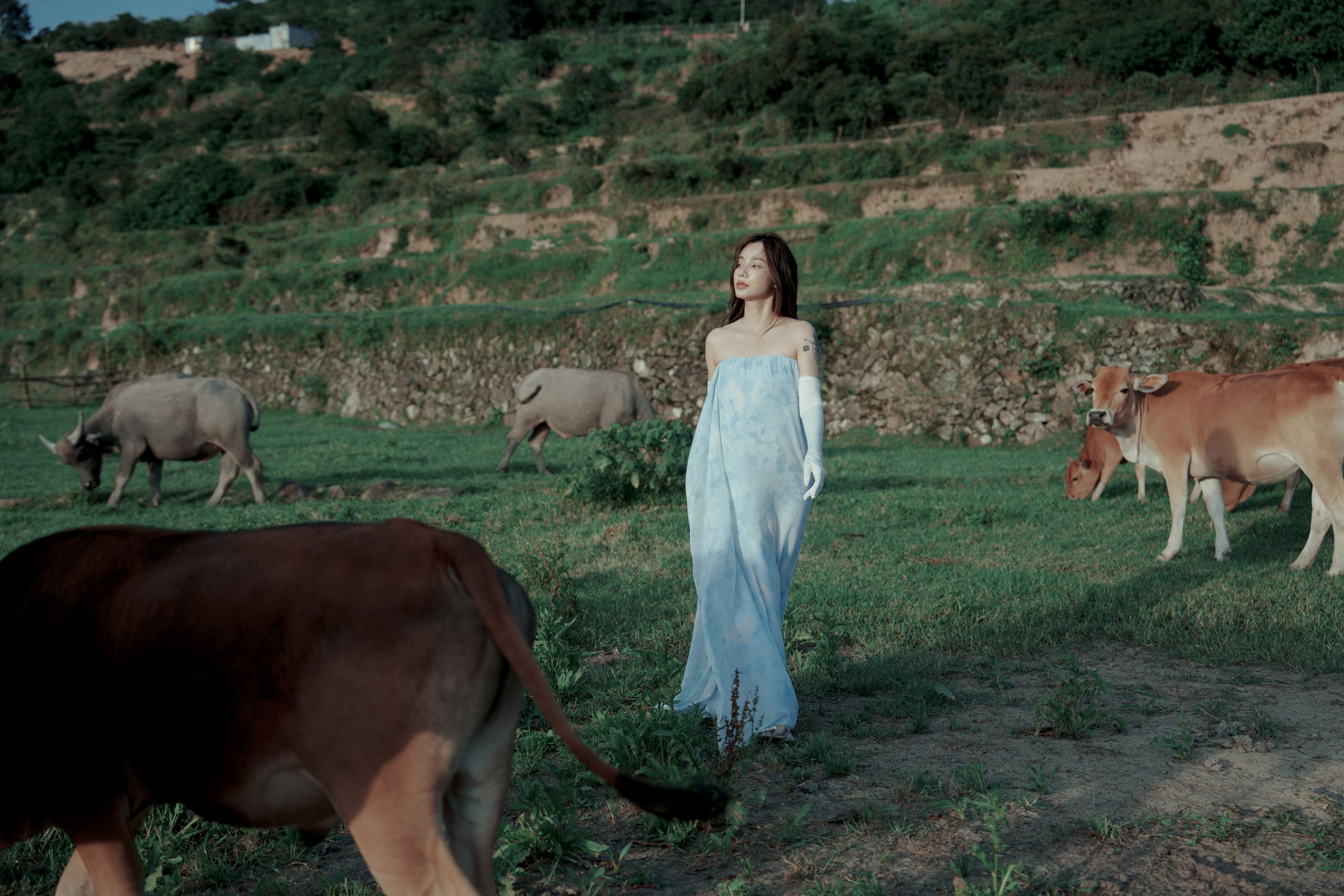 姝雯同学 – 《穿梭在牛群中，与牛共舞》[43P] 插图3