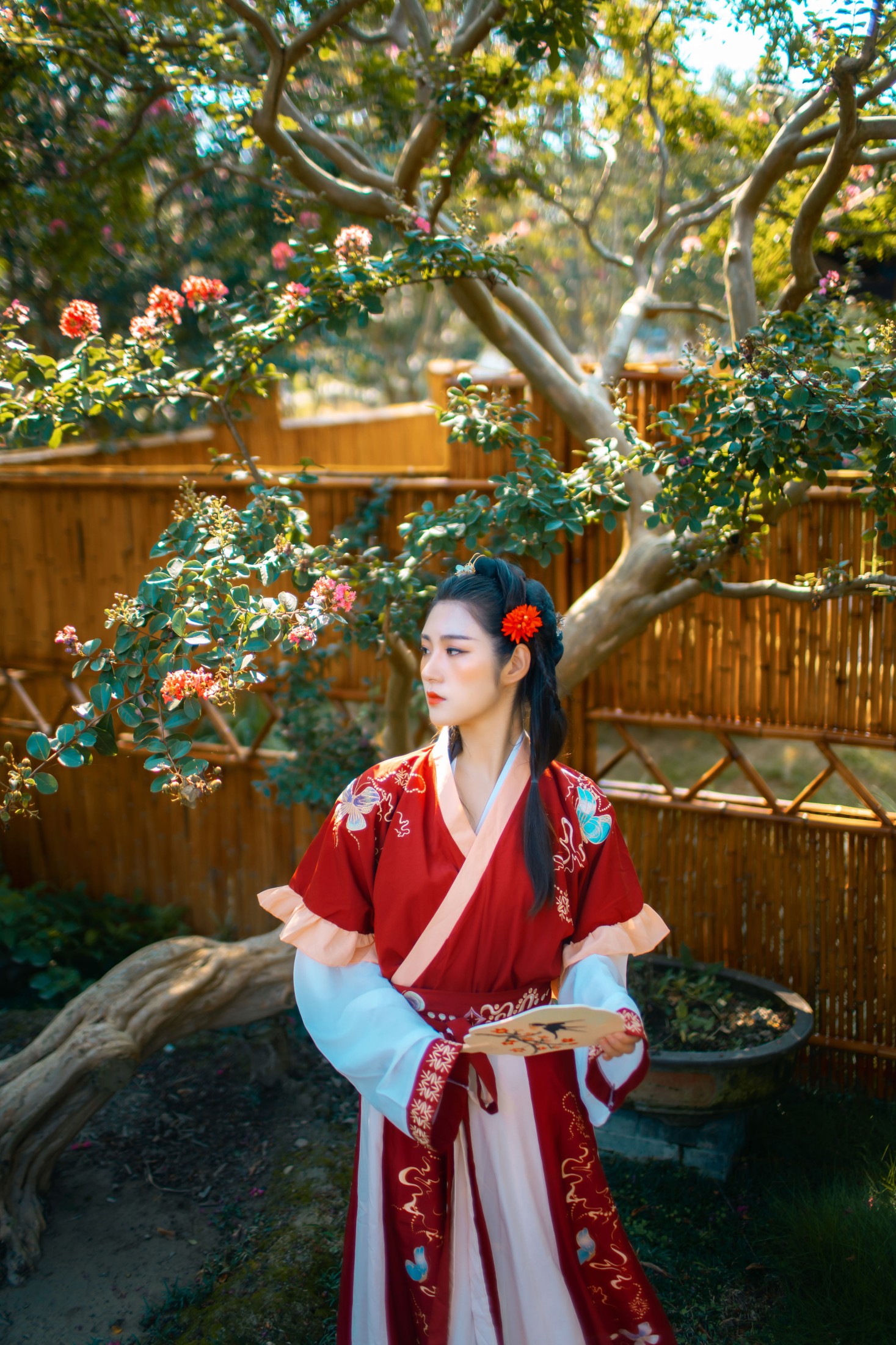 琴子 – 《醉花阴》[43P]