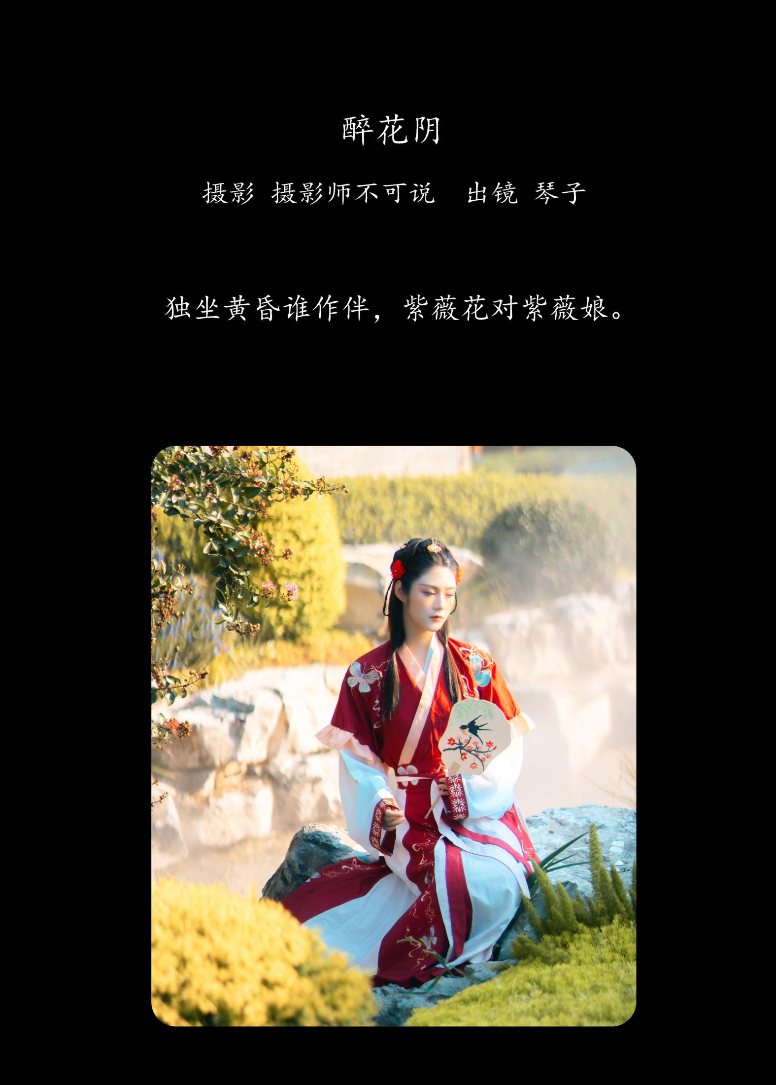 琴子 – 《醉花阴》[43P]