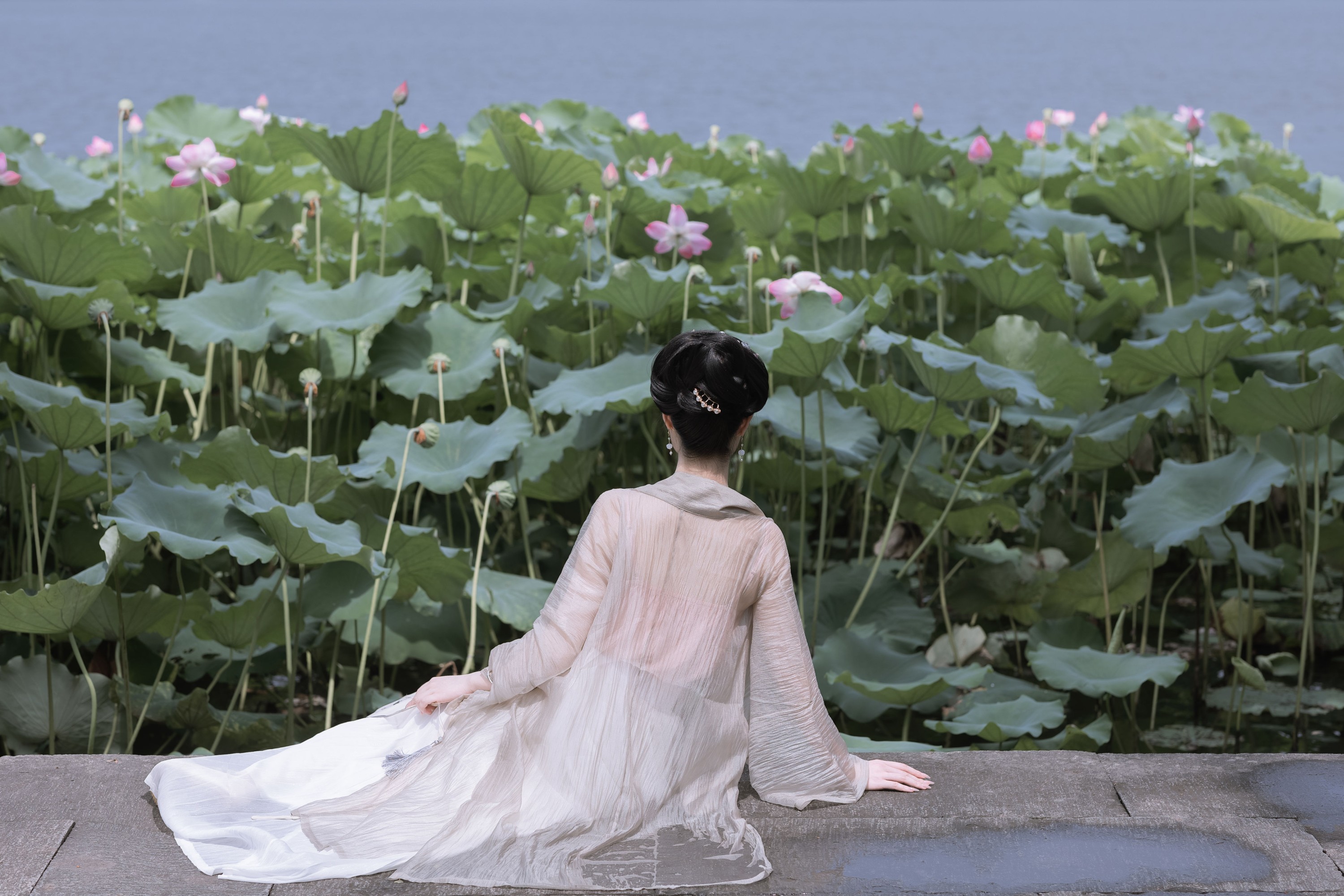 hannaa – 《荷香》[29P]