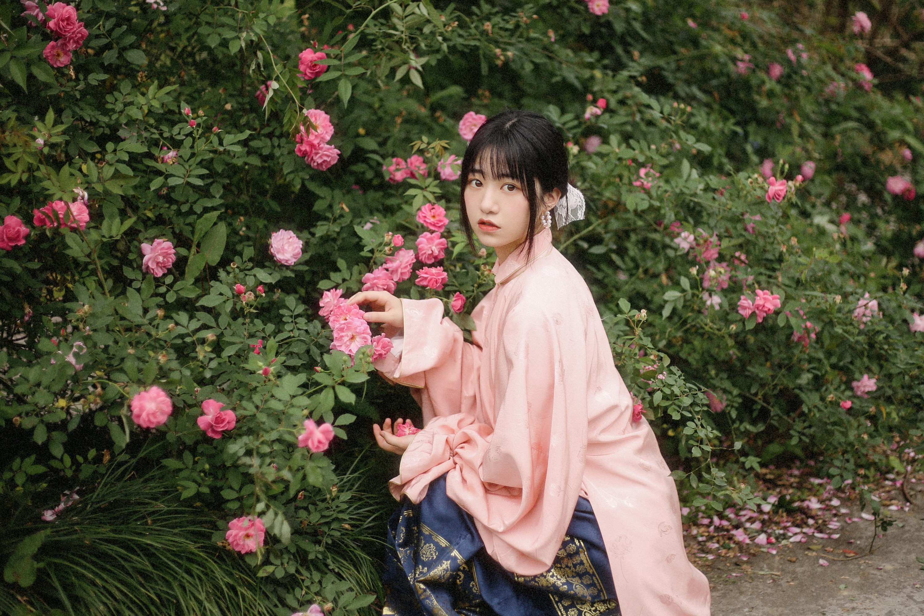 panniling – 《蔷薇花开》[30P]