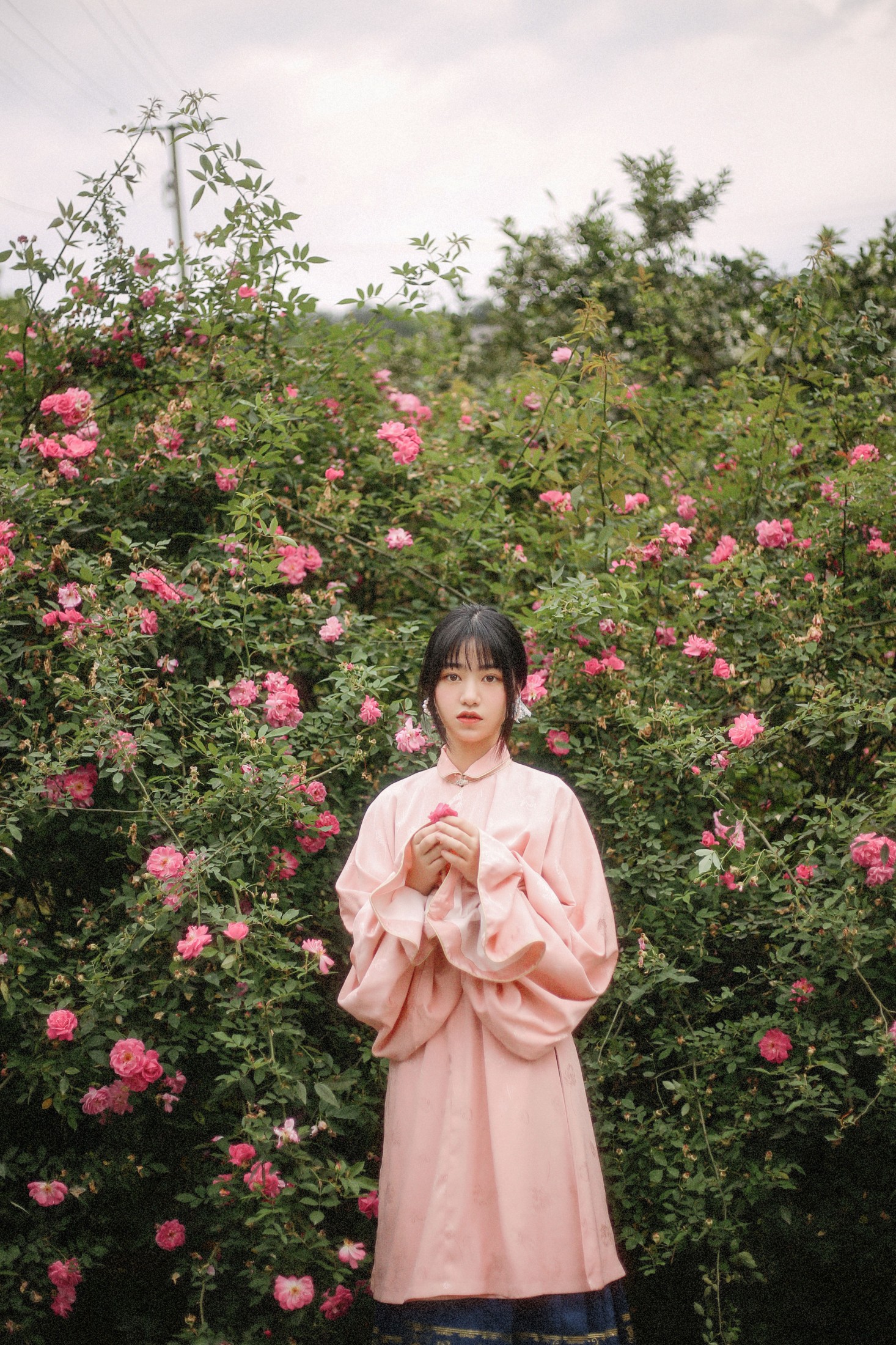 panniling – 《蔷薇花开》[30P]