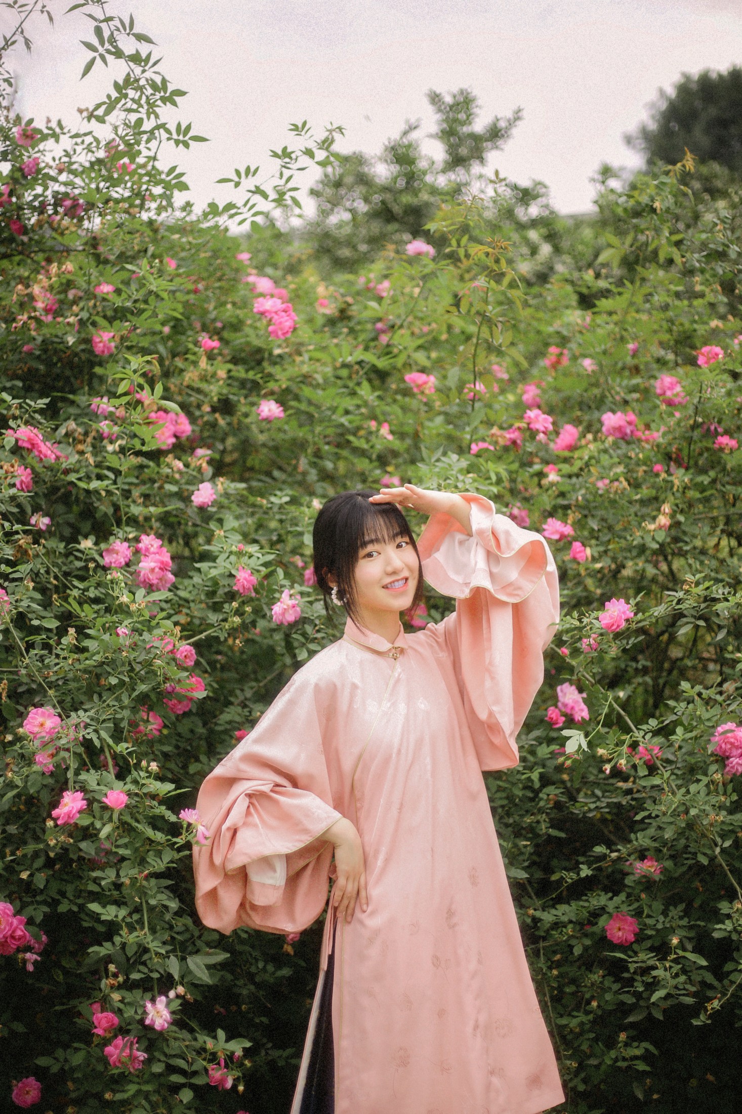 panniling – 《蔷薇花开》[30P]