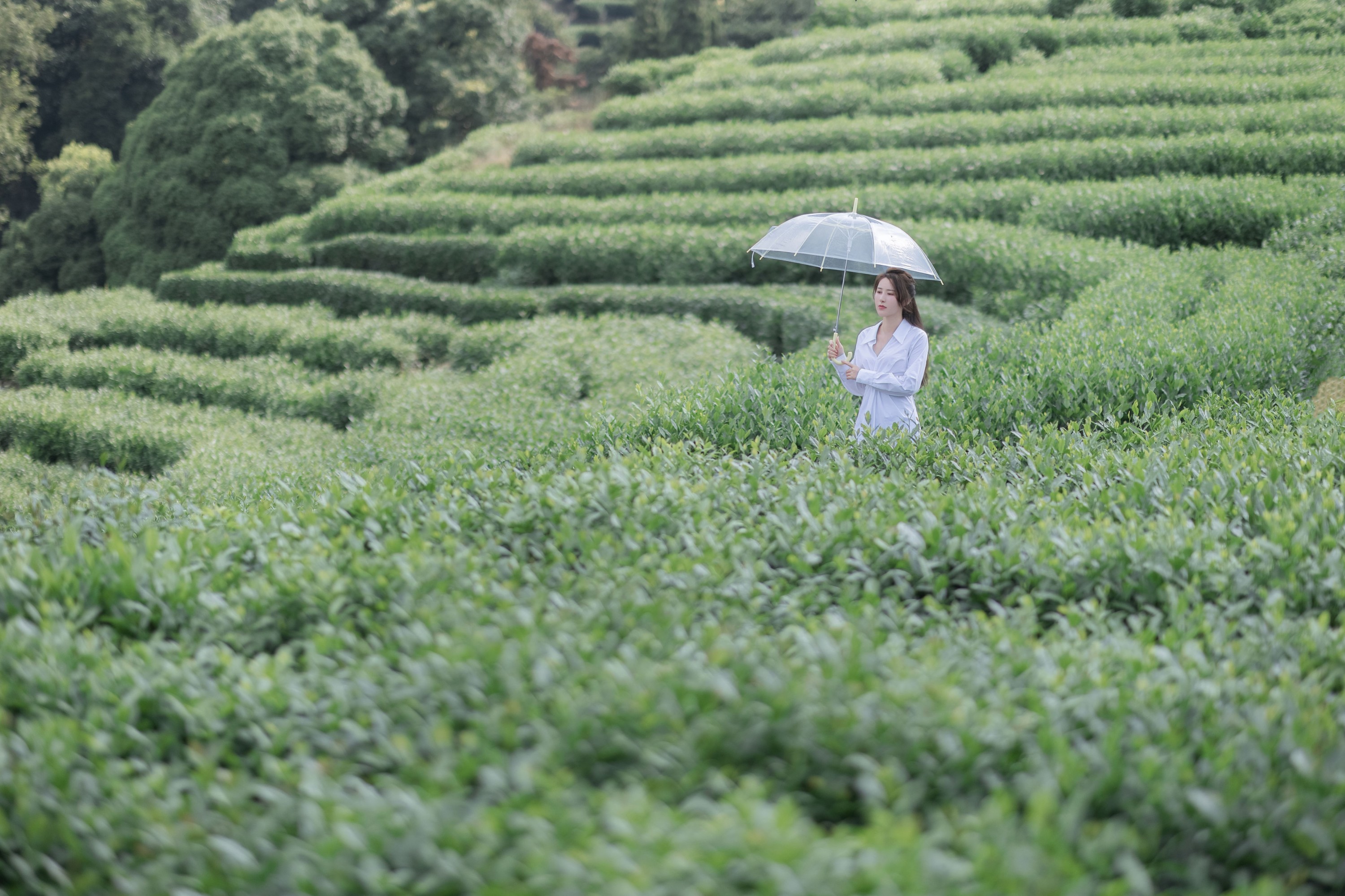 小美 – 《茶岚》[32P] 插图3