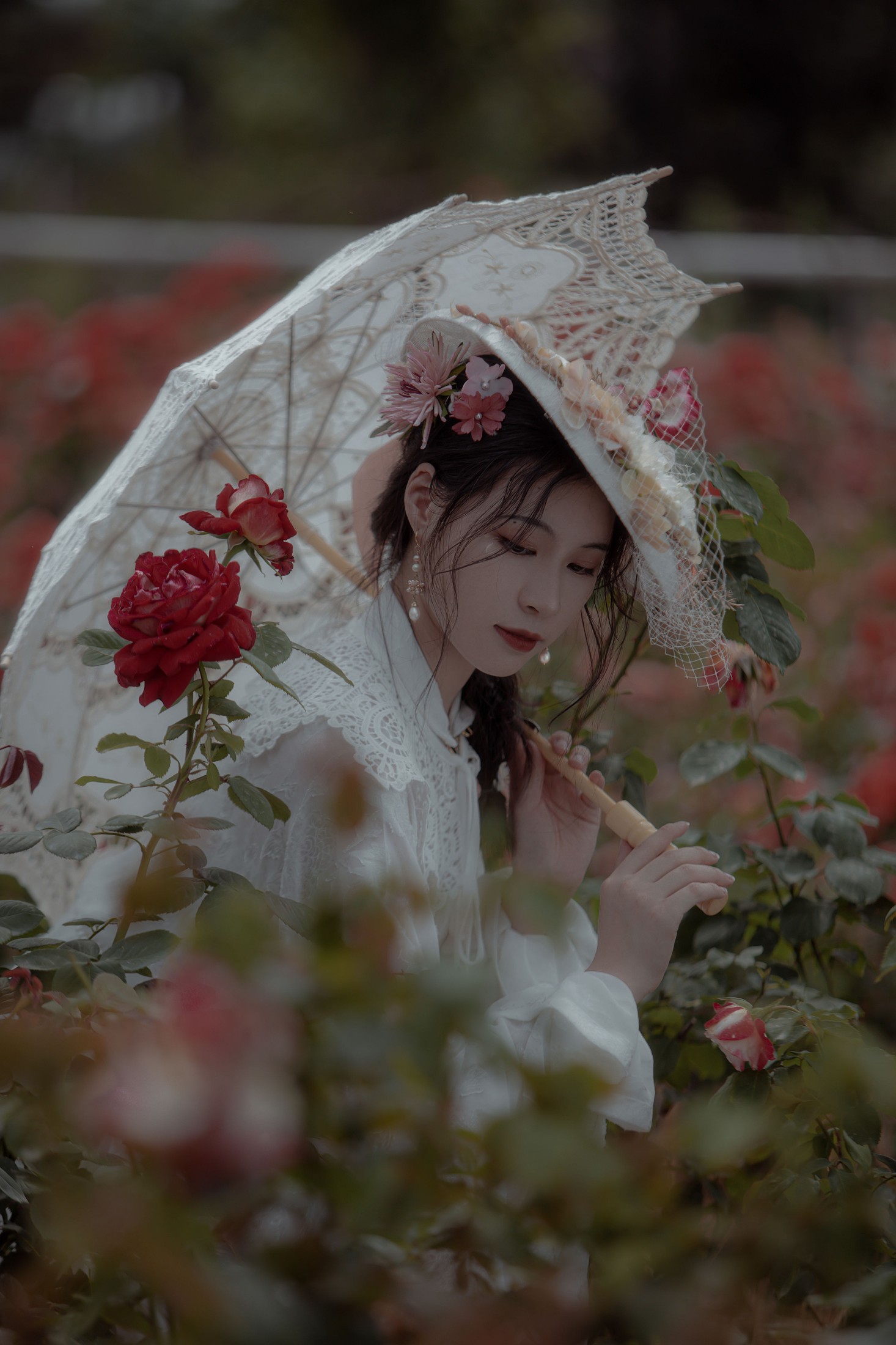 双翮 – 《玫瑰》[28P]