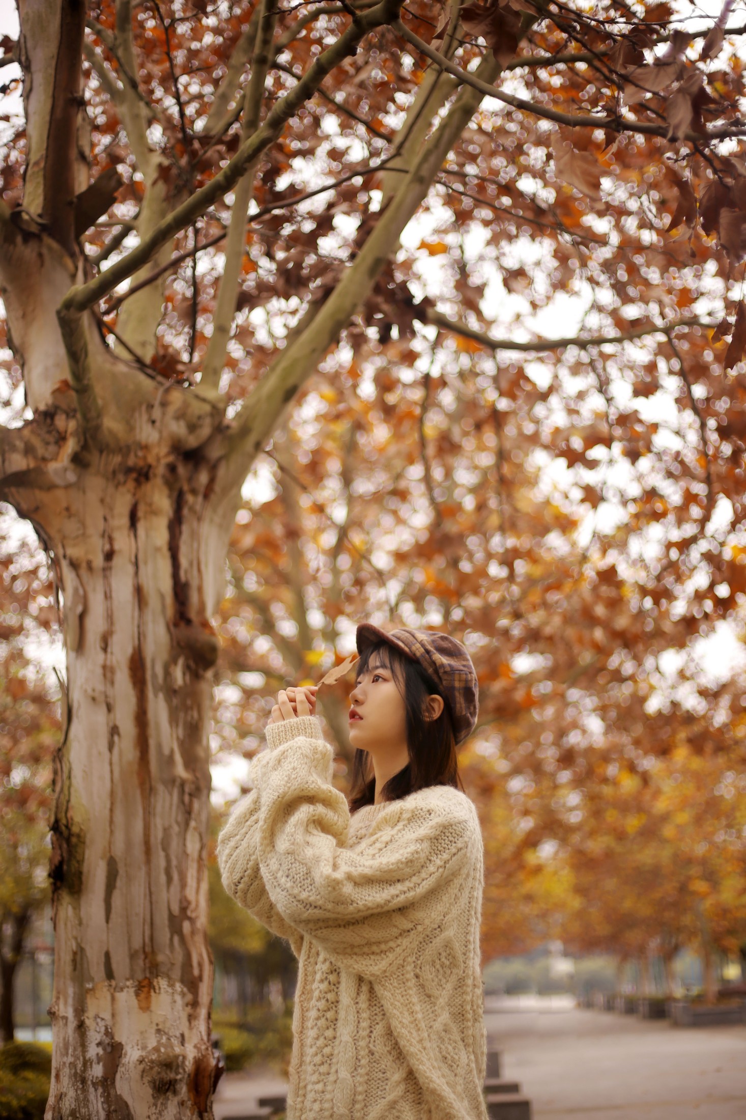 panniling – 《枫叶》[30P]