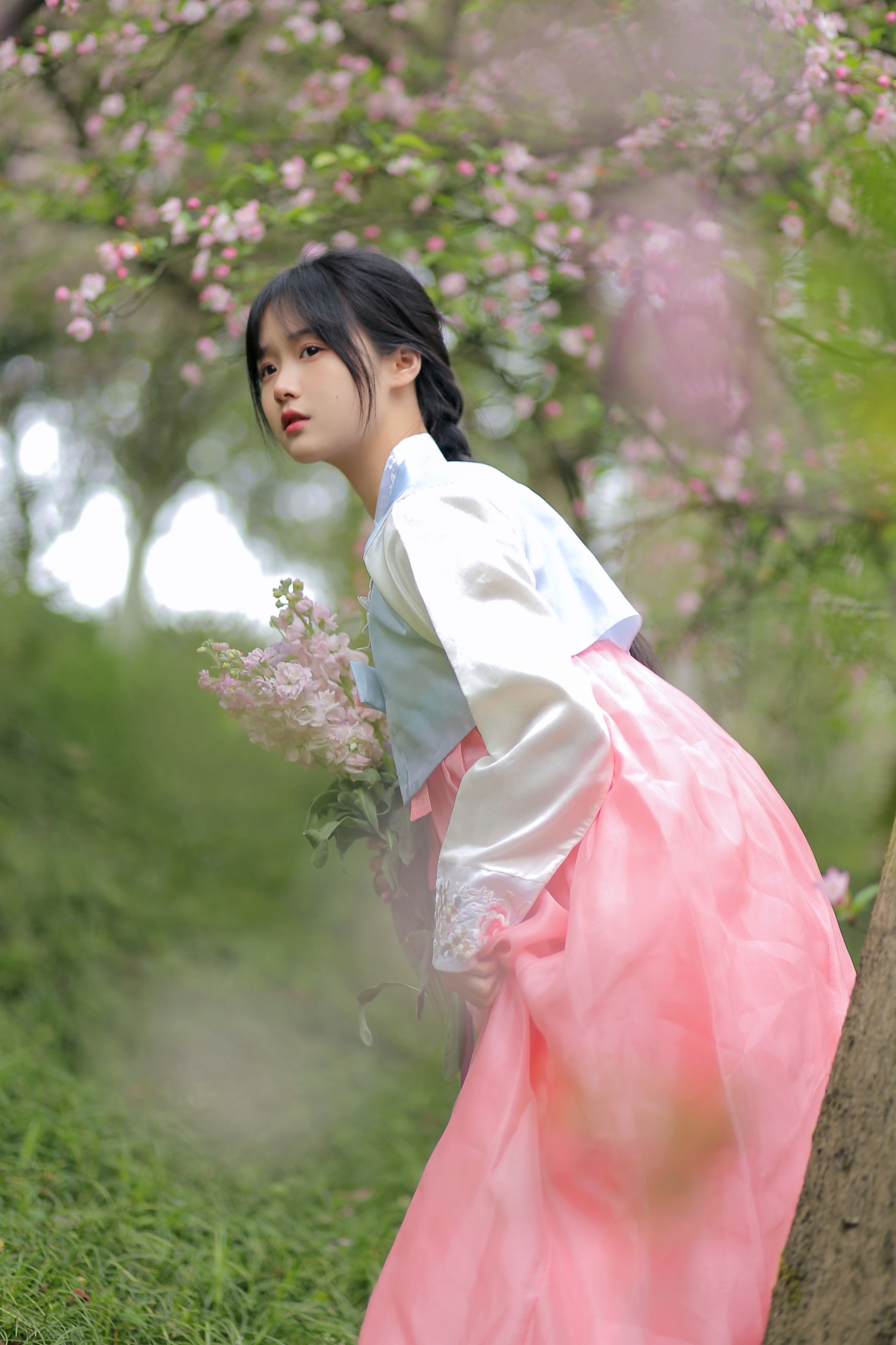 至春禾 – 《春日海棠》[34P] 插图4