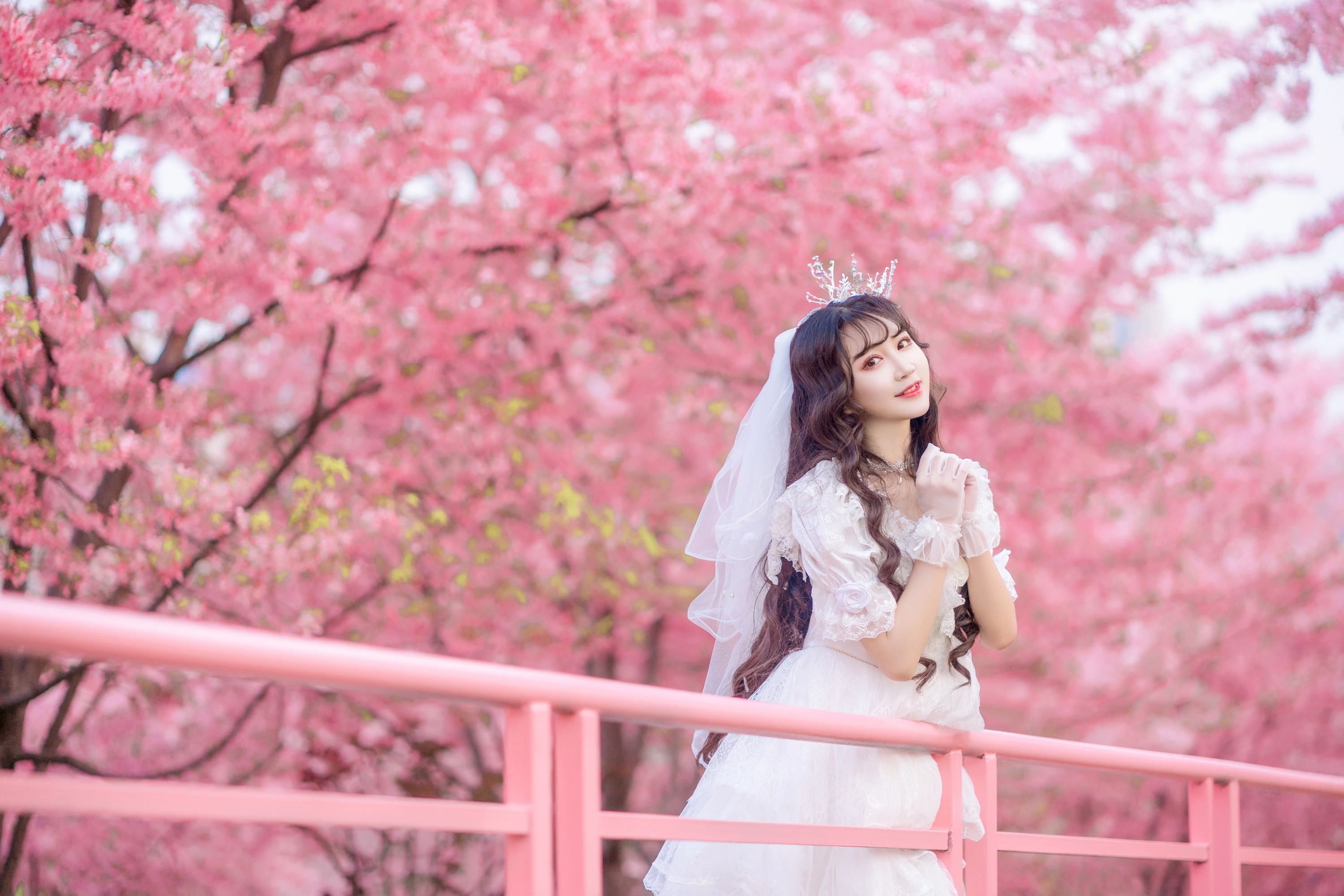 绮罗生的小苏苏 – 《花嫁》[26P]