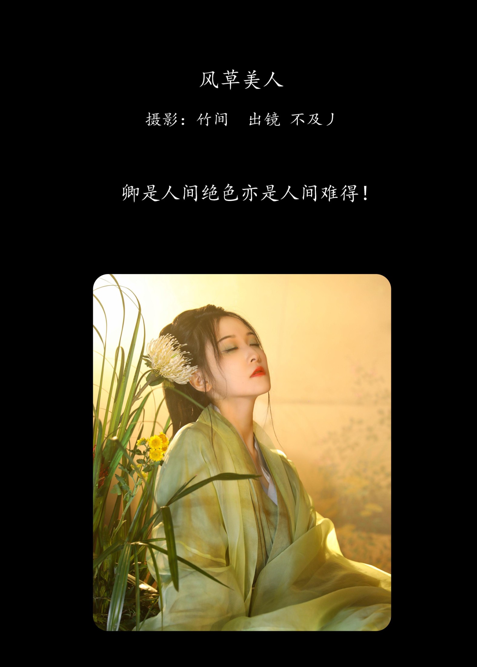 不及丿 – 《风草美人》[35P]