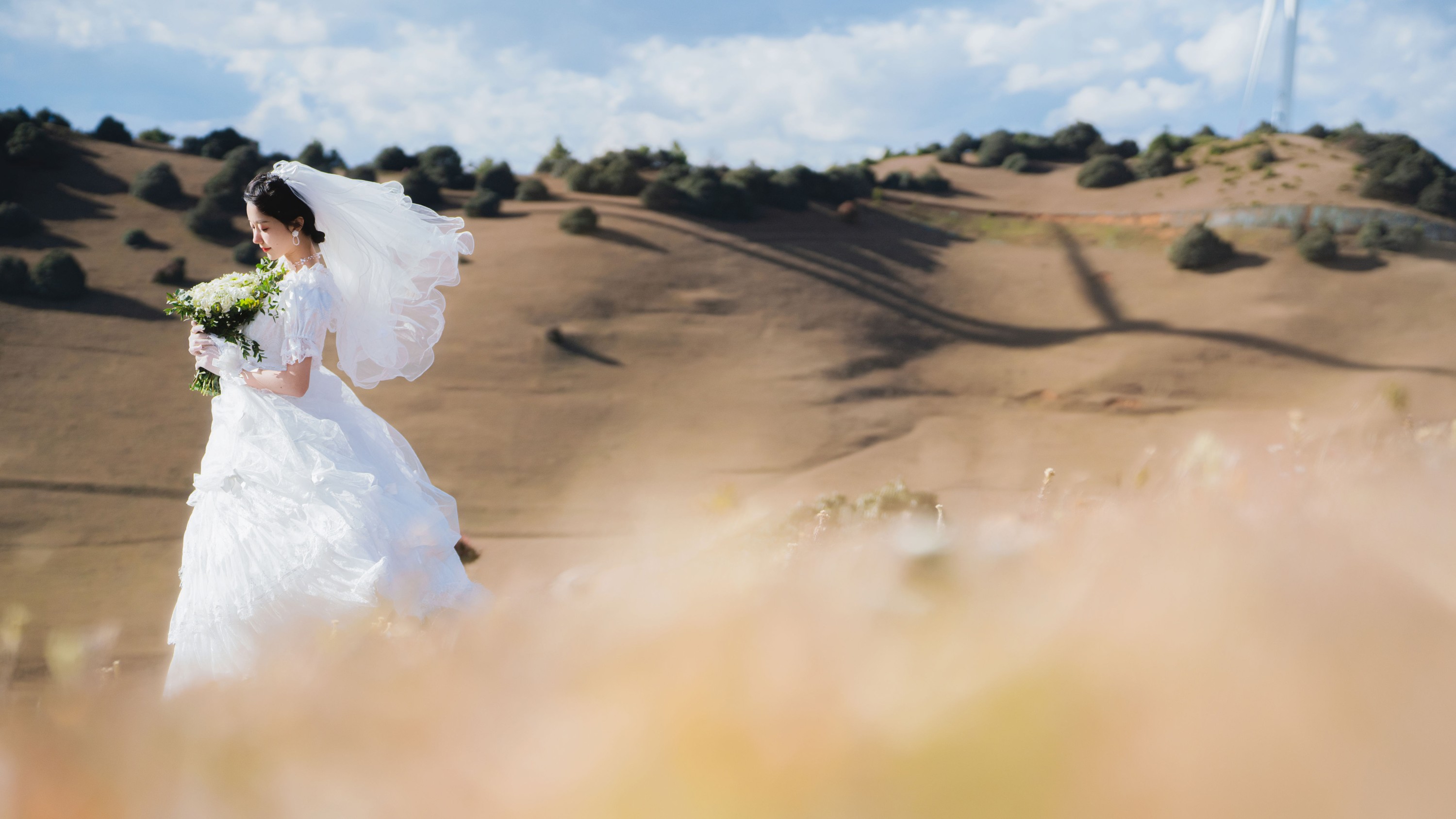 木棉棉VwV – 《风车下的约定》[32P]